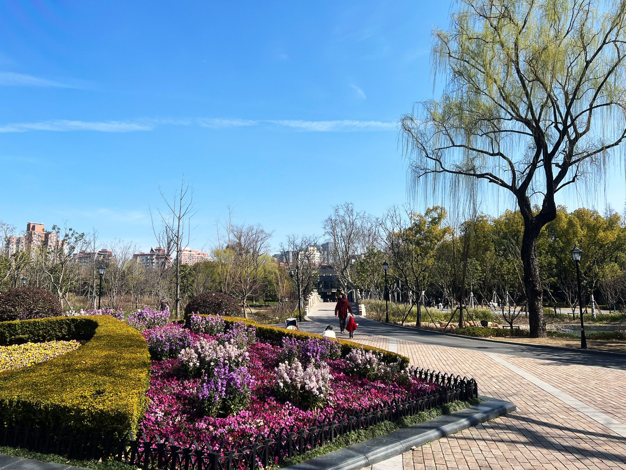 中山公园旅行图片 2