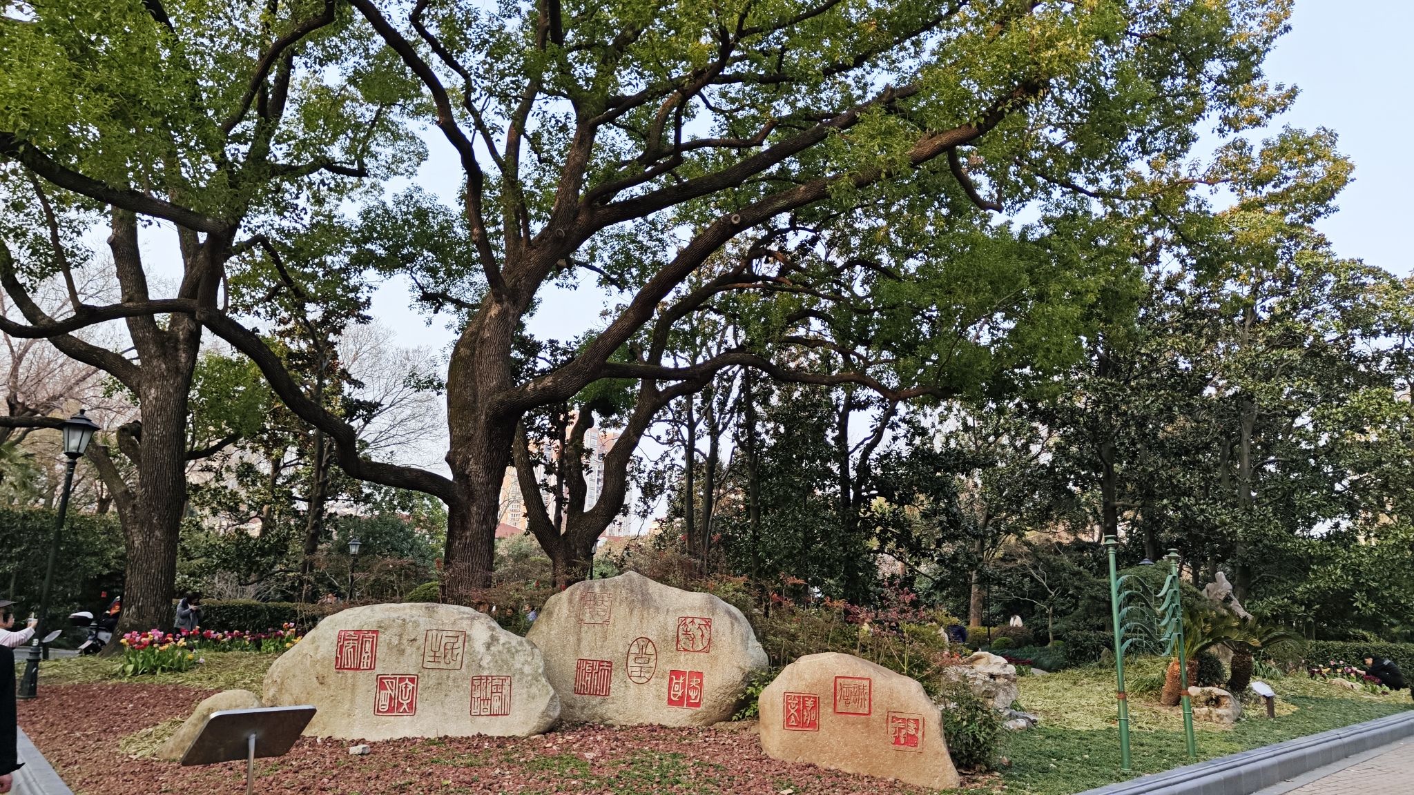 中山公园旅行图片 3