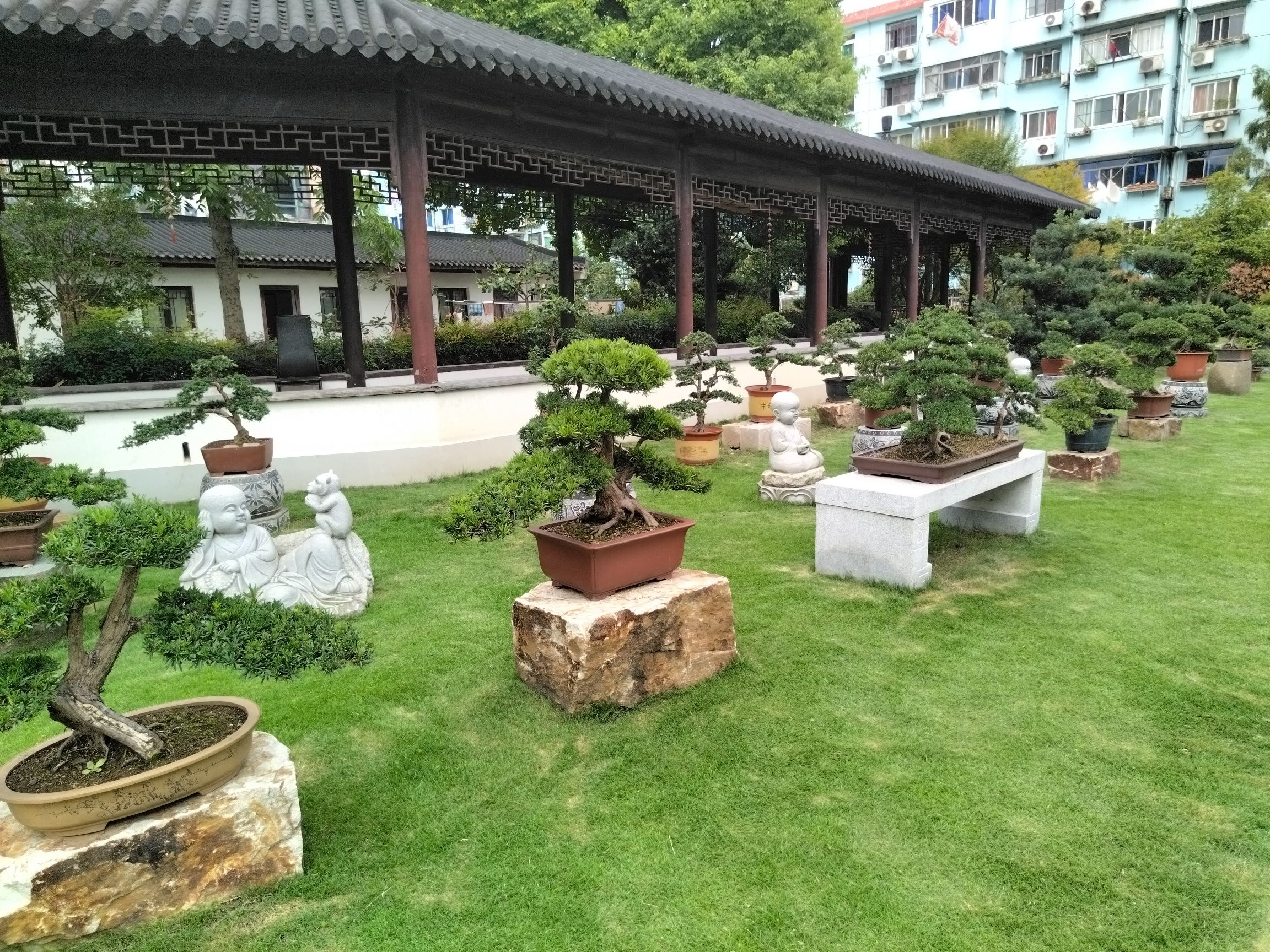 淞南寺旅行图片 1