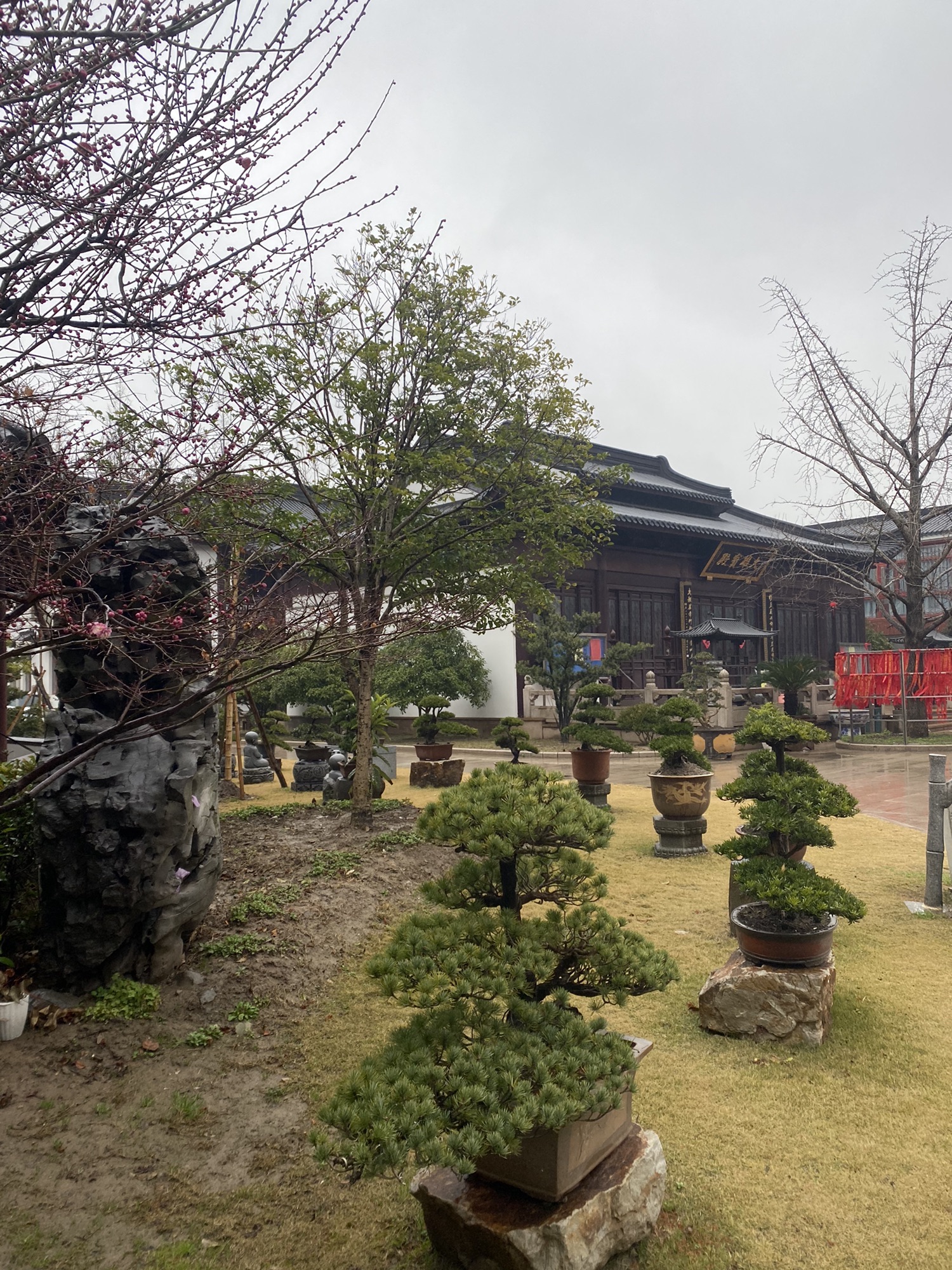 淞南寺旅行图片 2