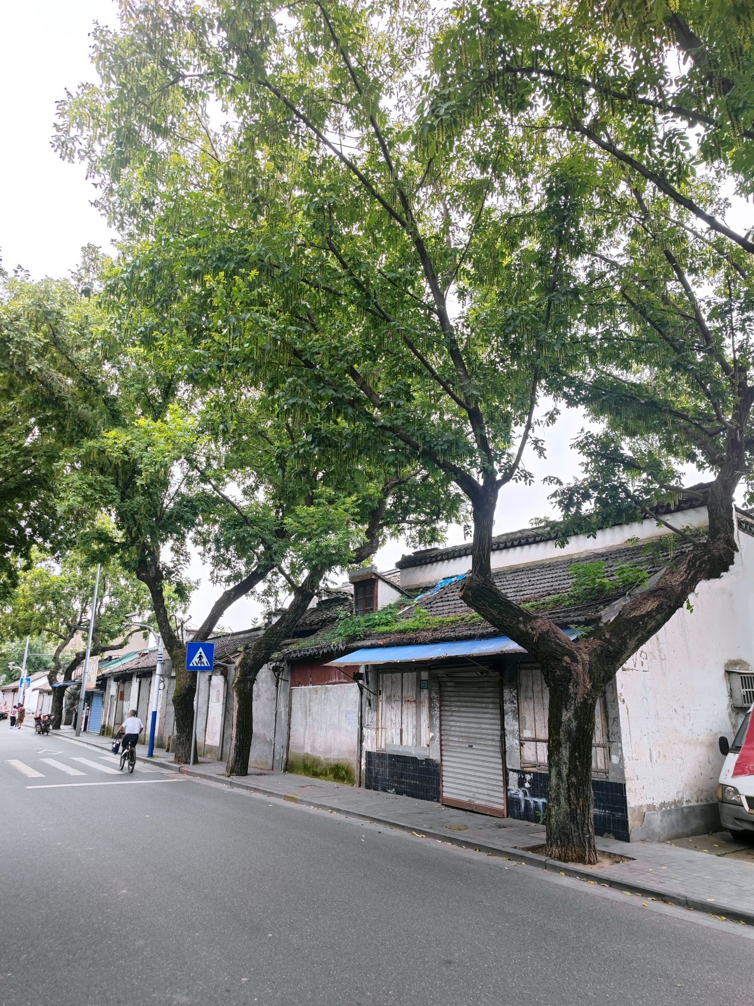 松江非物质文化遗产传习基地旅行图片 2