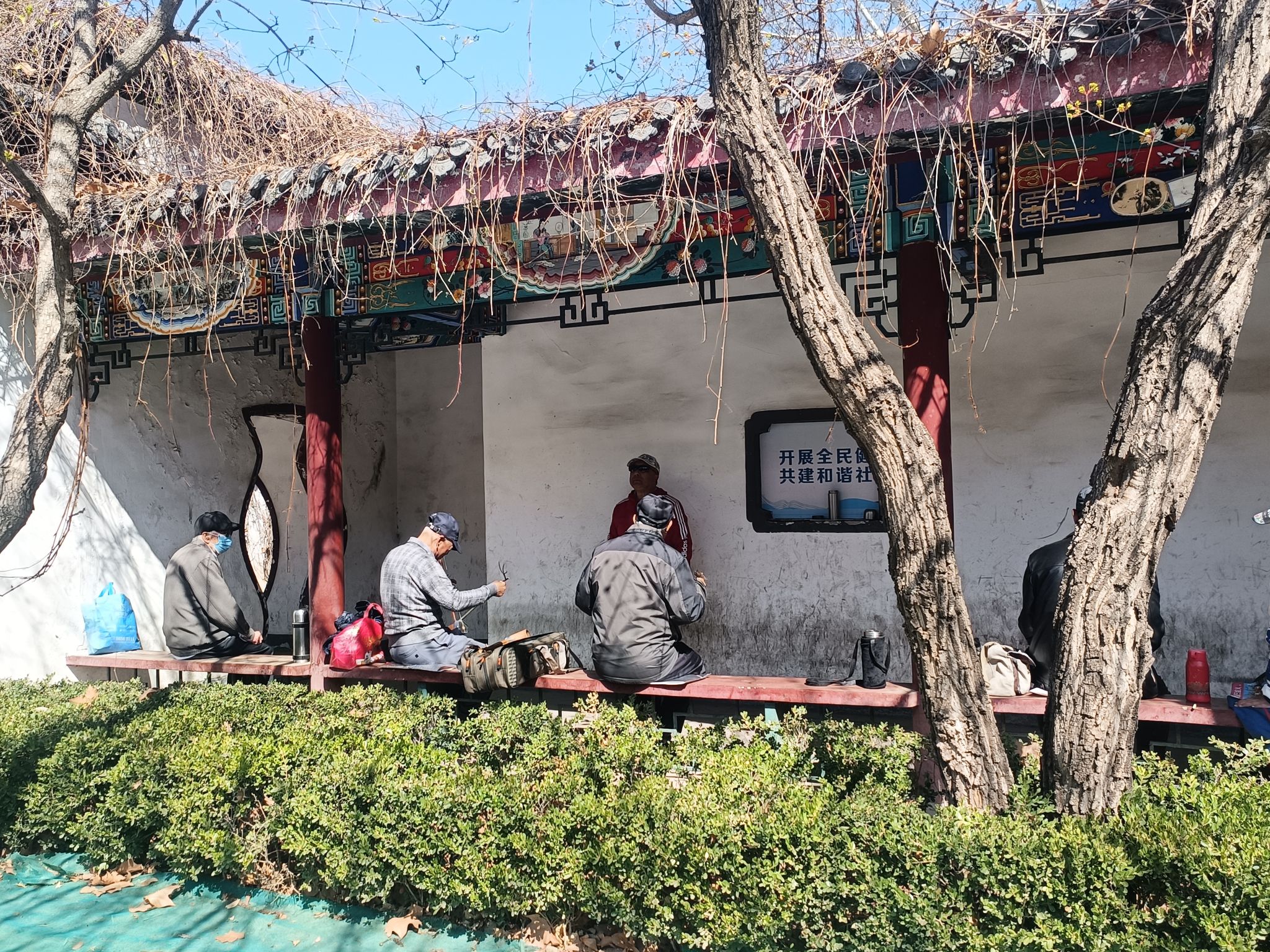 人民公园旅行图片 3