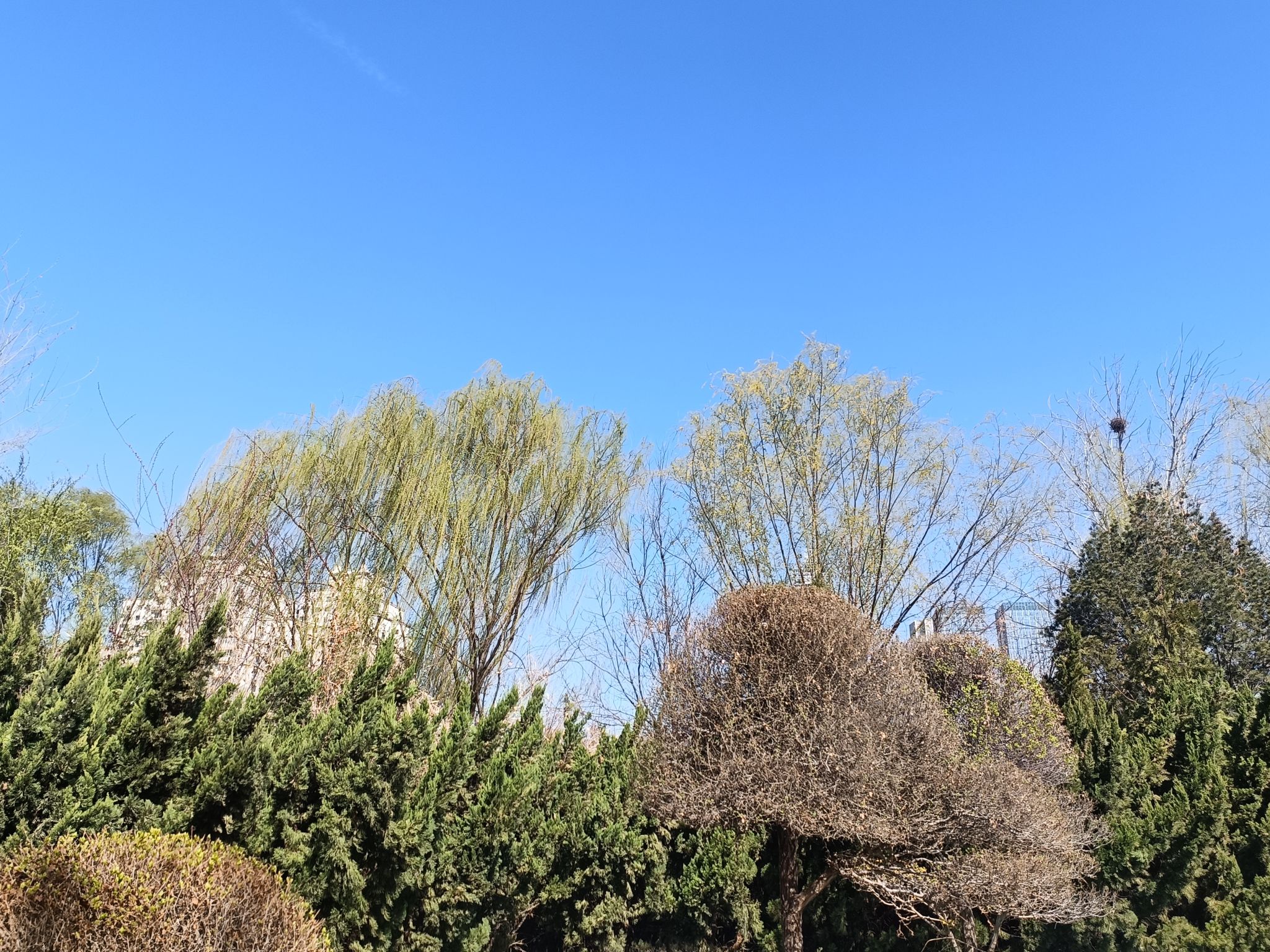 人民公园旅行图片 1