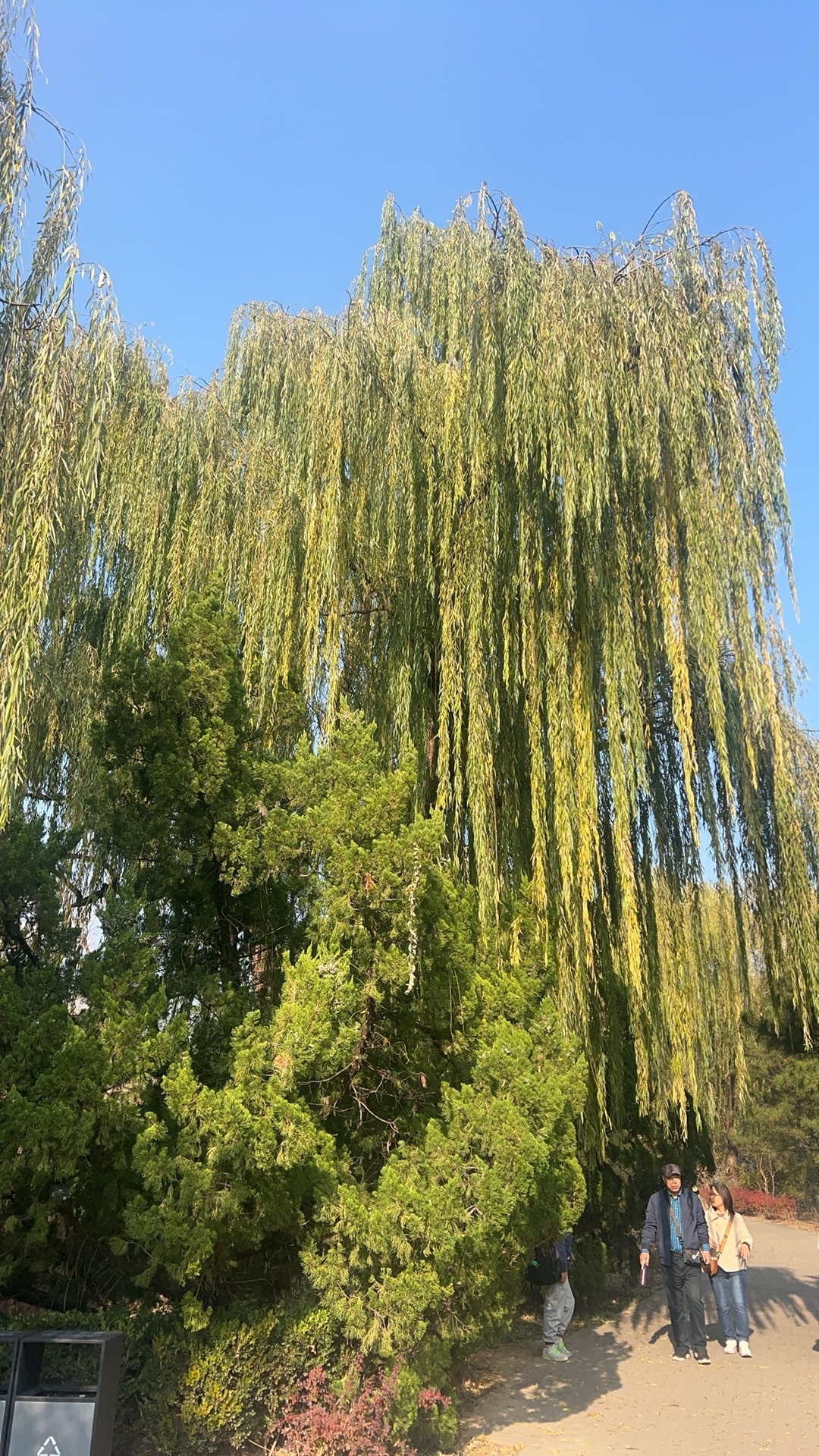 人民公园旅行图片 3