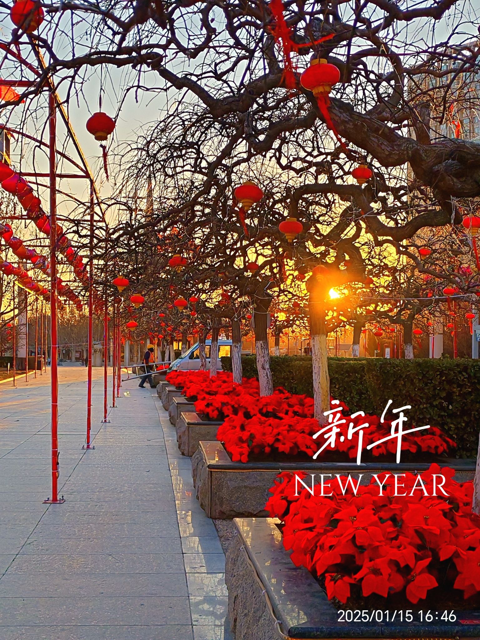 北辰公园旅行图片 2