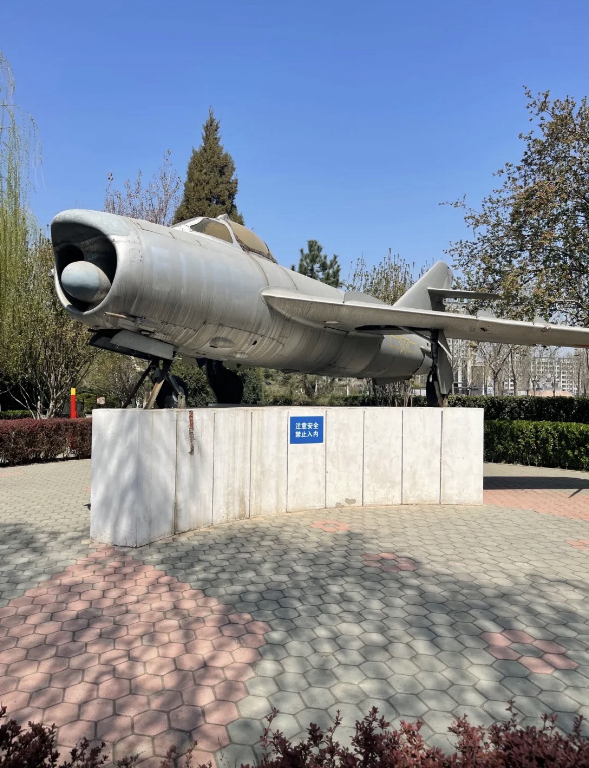 杨连弟公园旅行图片 3