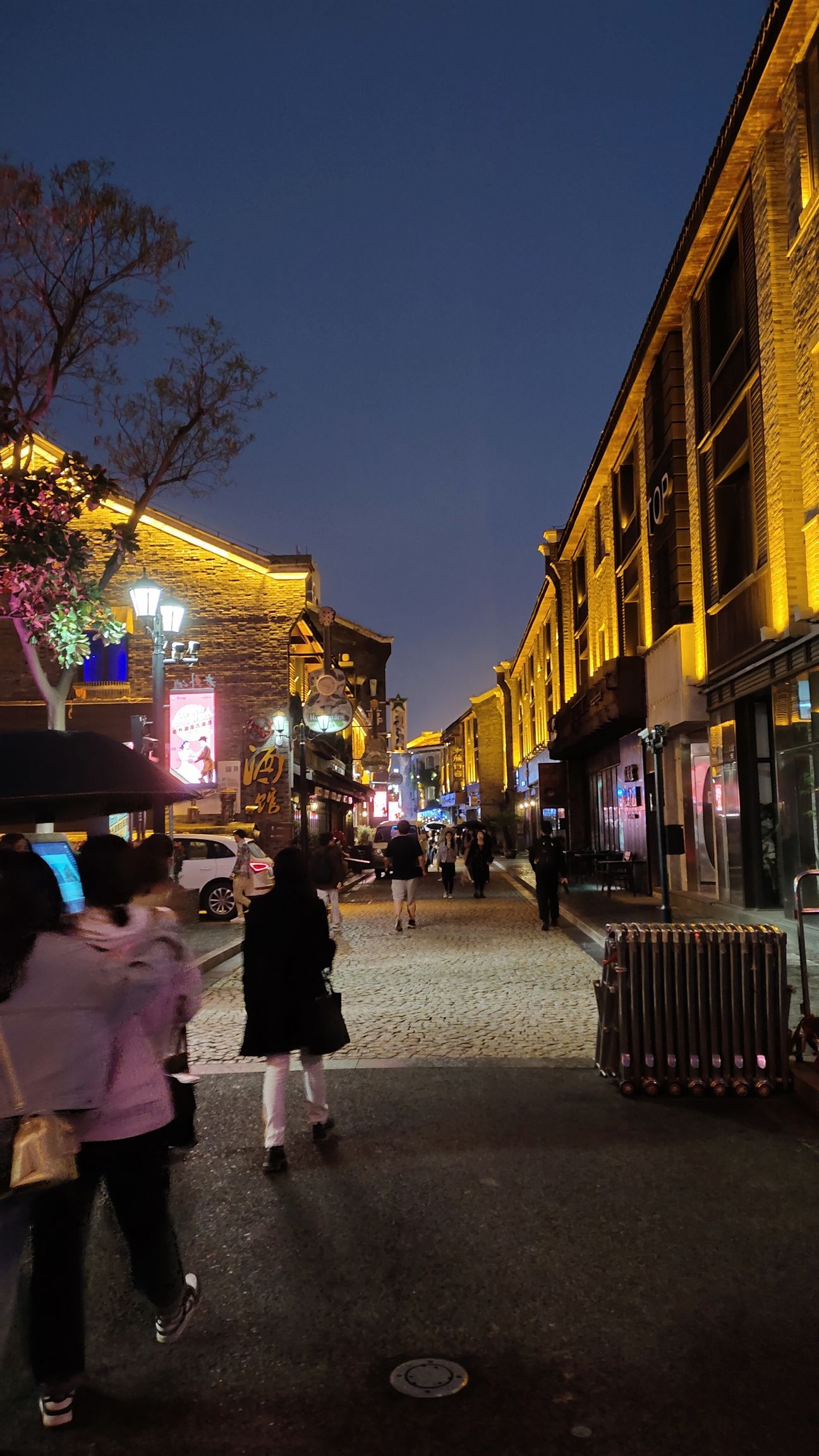 集贤体育公园旅行图片 2