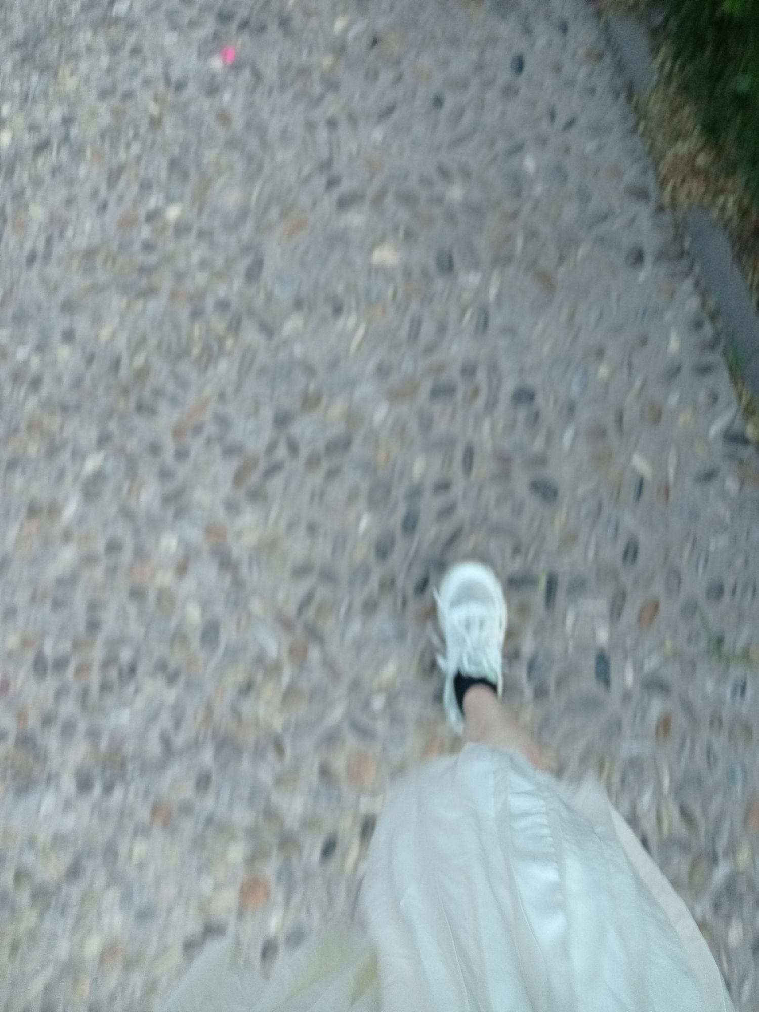 南苑公园旅行图片 1