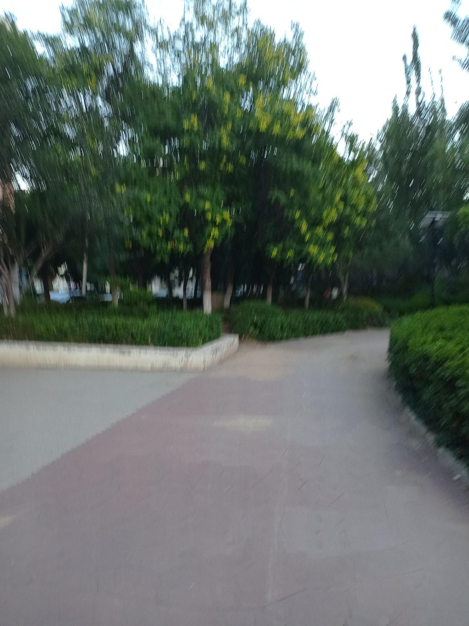 南苑公园旅行图片 3