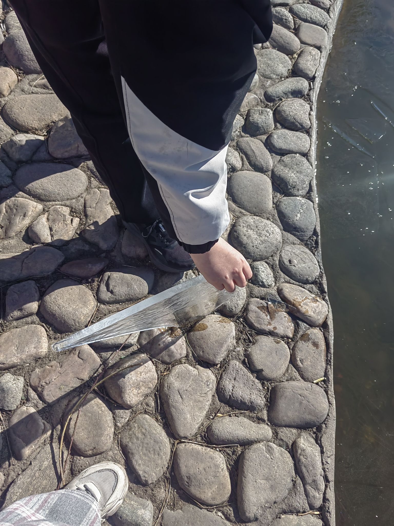 新港公园旅行图片 2