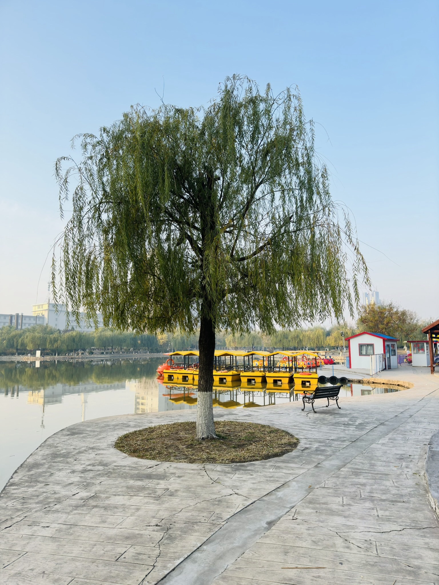 新港公园旅行图片 2