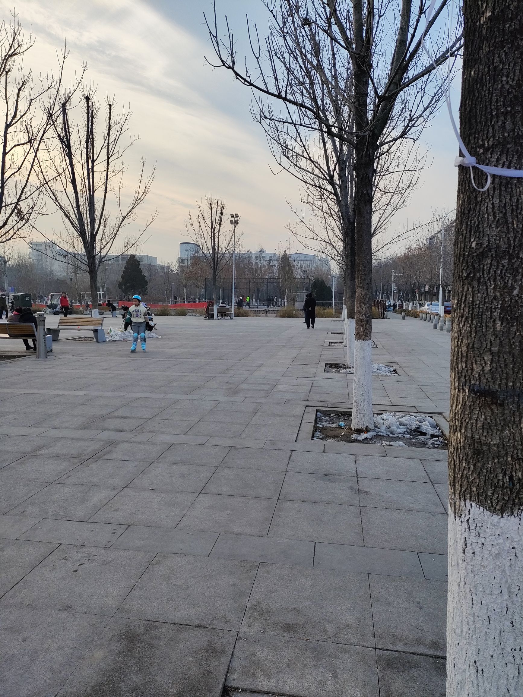 天津幸福公园旅行图片 2
