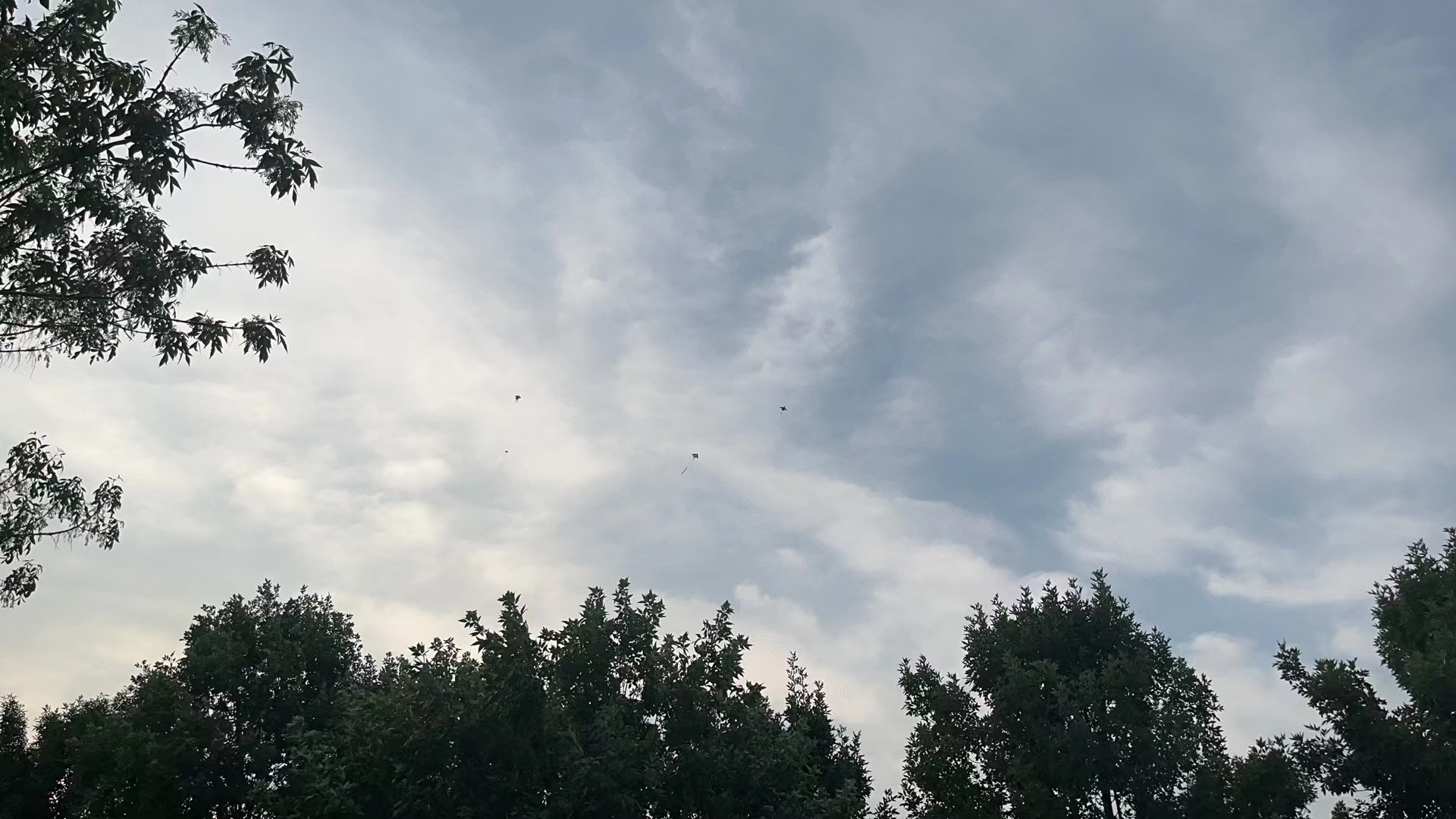 天津幸福公园旅行图片 2