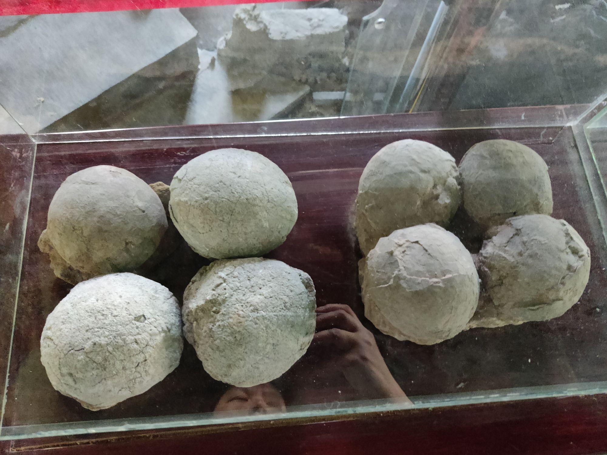 天津宝成博物苑-奇石园(暂停开放)旅行图片 1