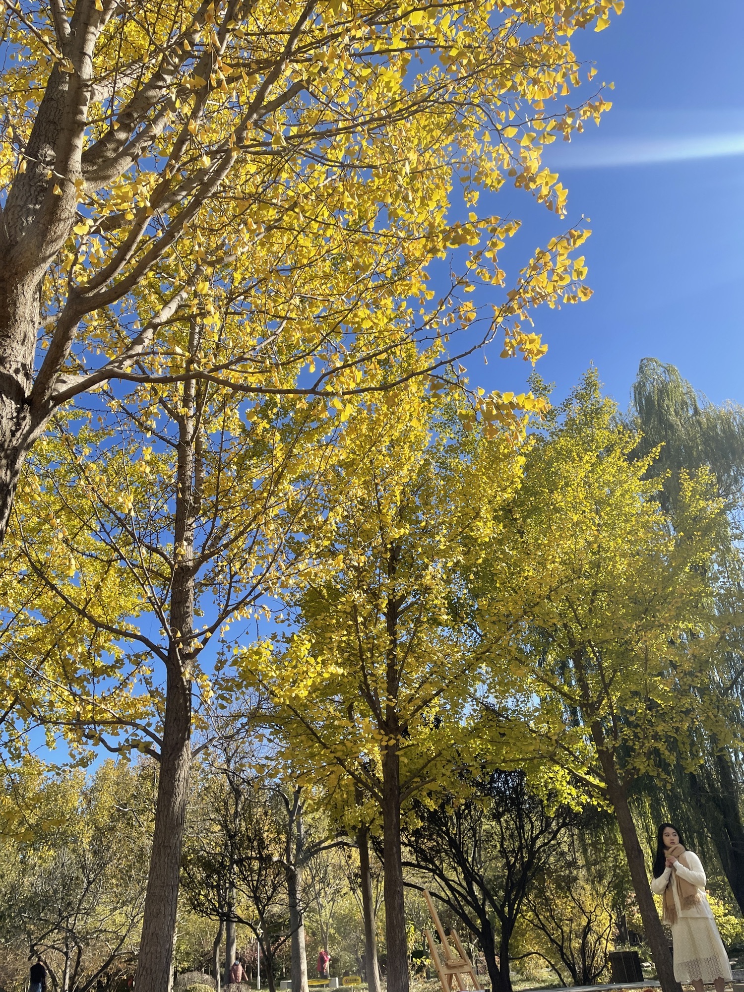 河东公园旅行图片 2