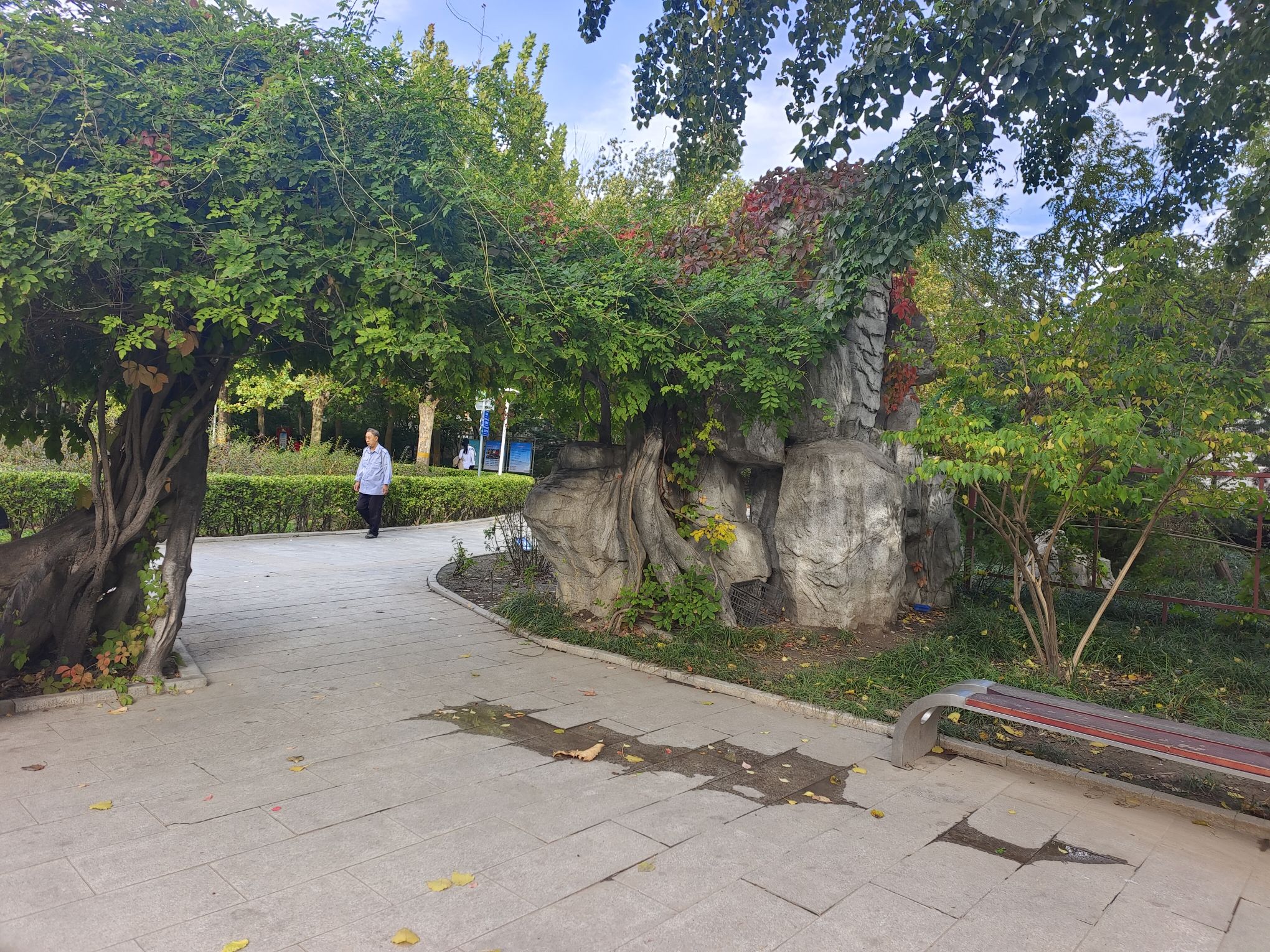 河东公园旅行图片 3