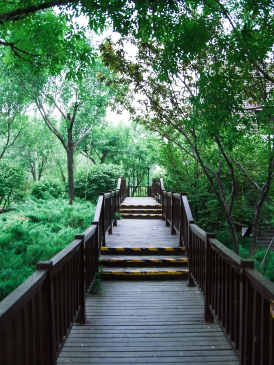 河东公园旅行图片 2