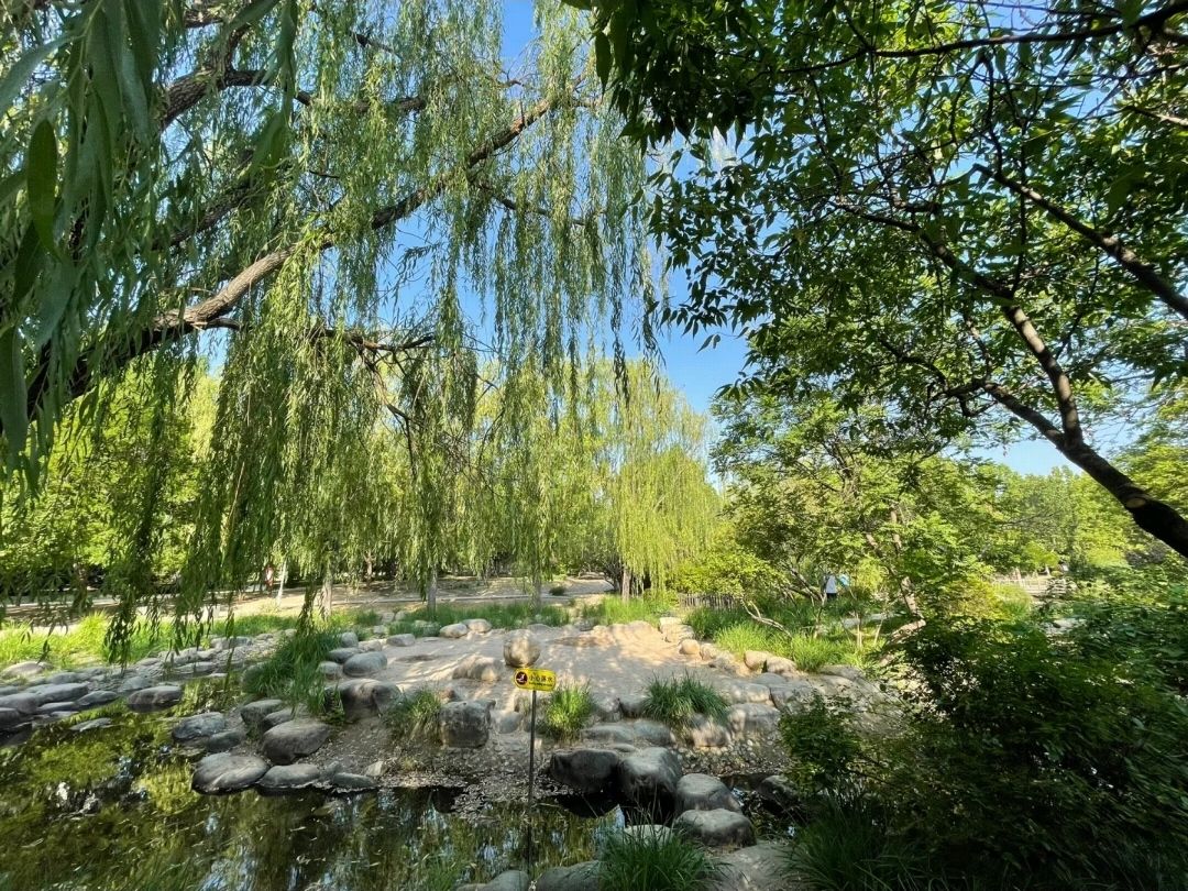 河东公园旅行图片 3