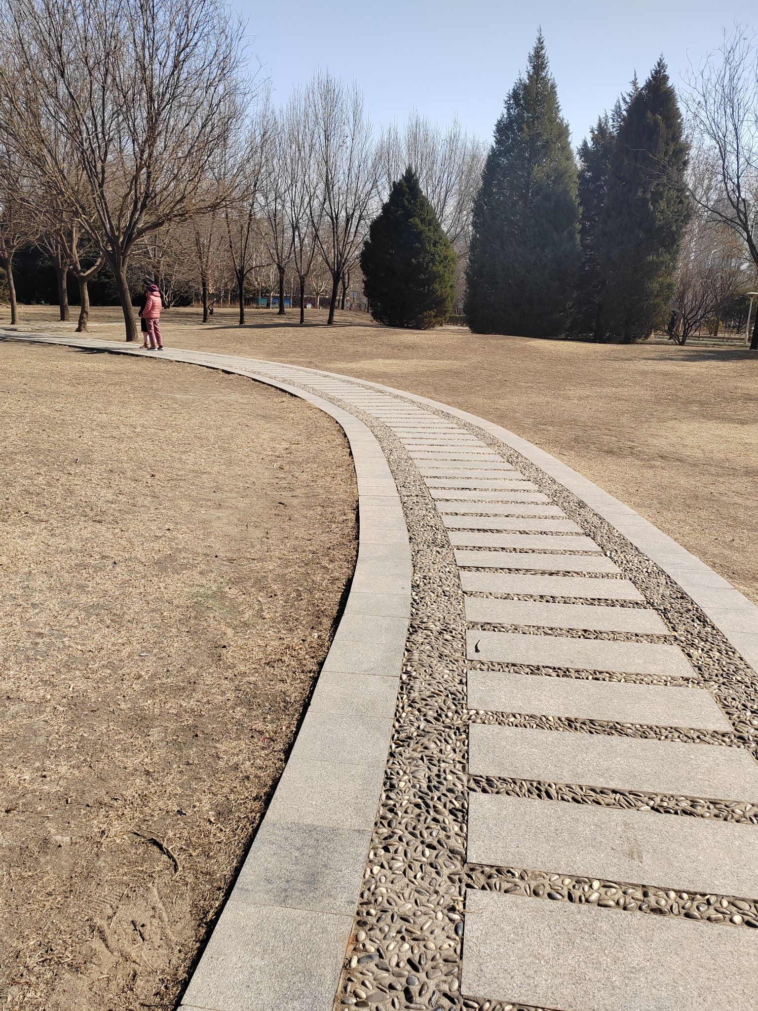 河东公园旅行图片 3