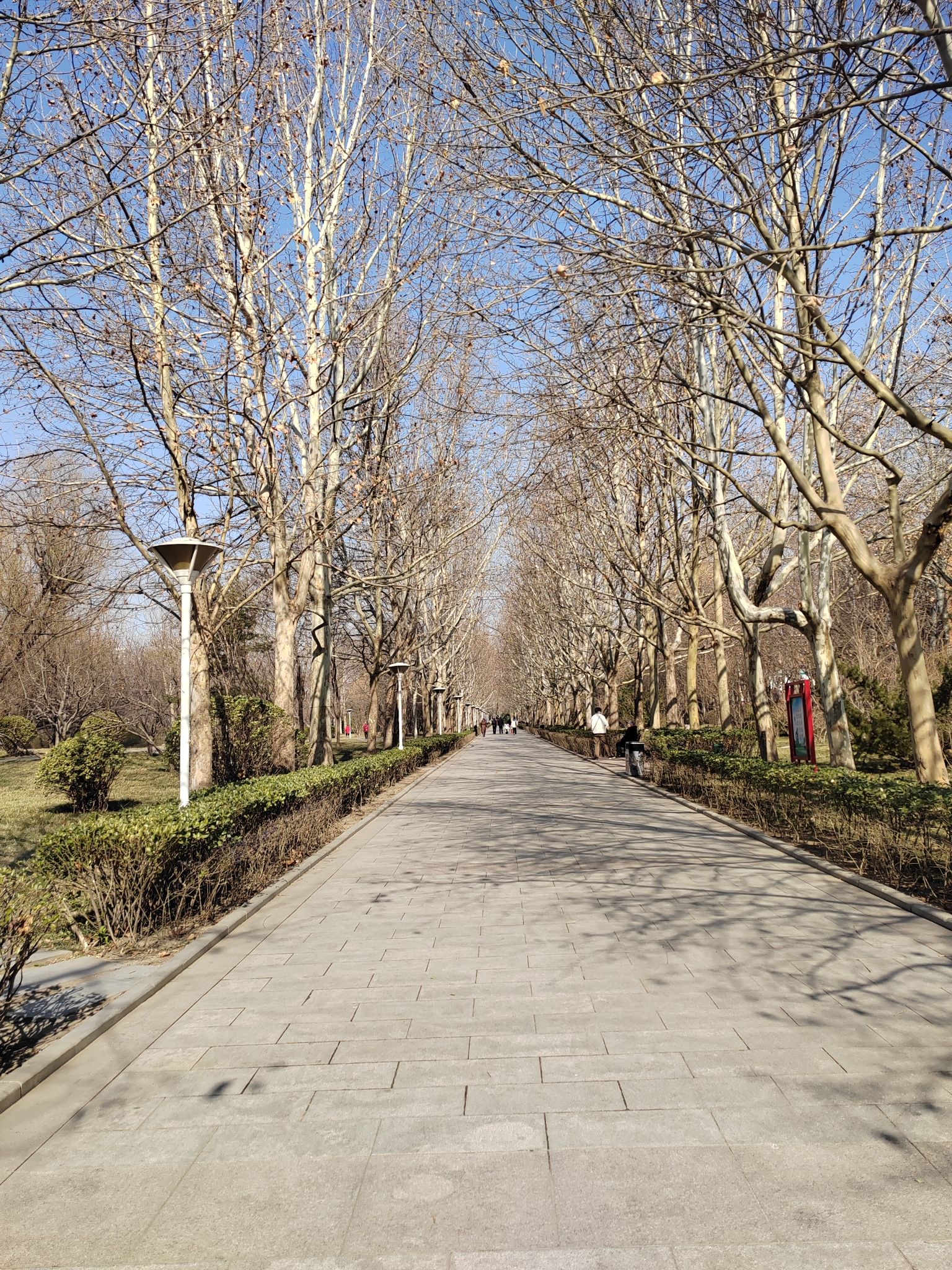 河东公园旅行图片 2