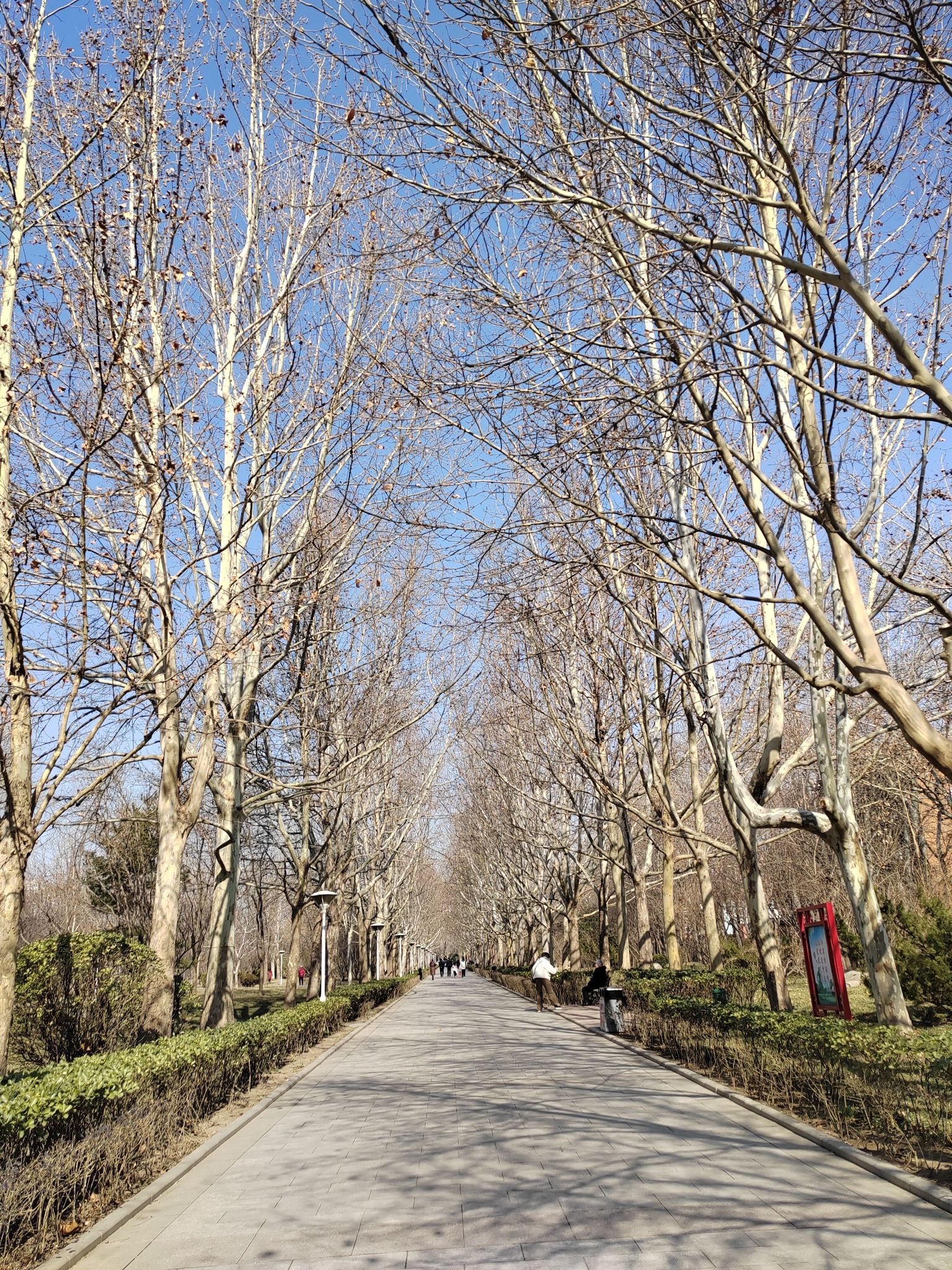 河东公园旅行图片 1