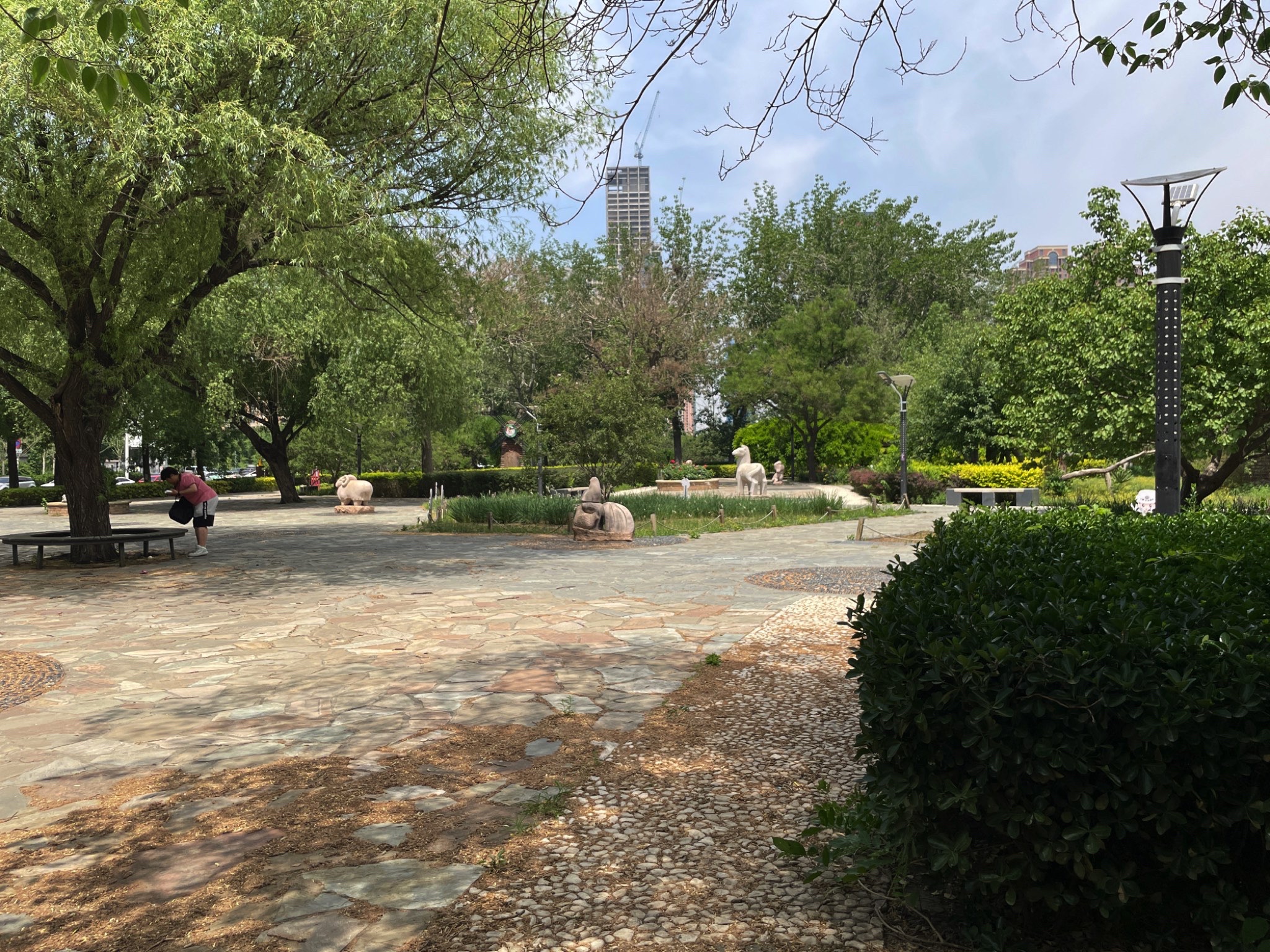 洞庭公园旅行图片 1