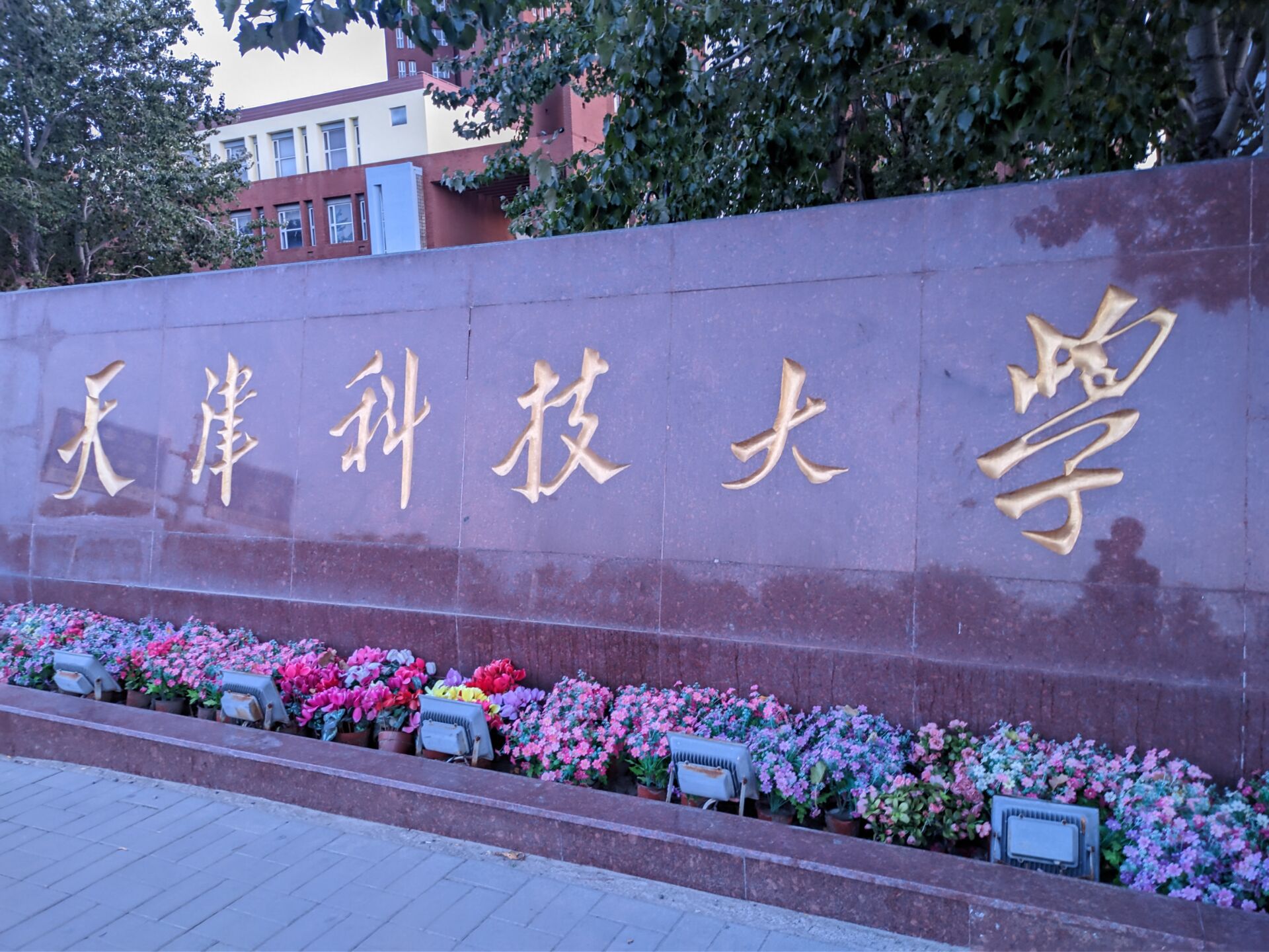 天津科技大学河西校区