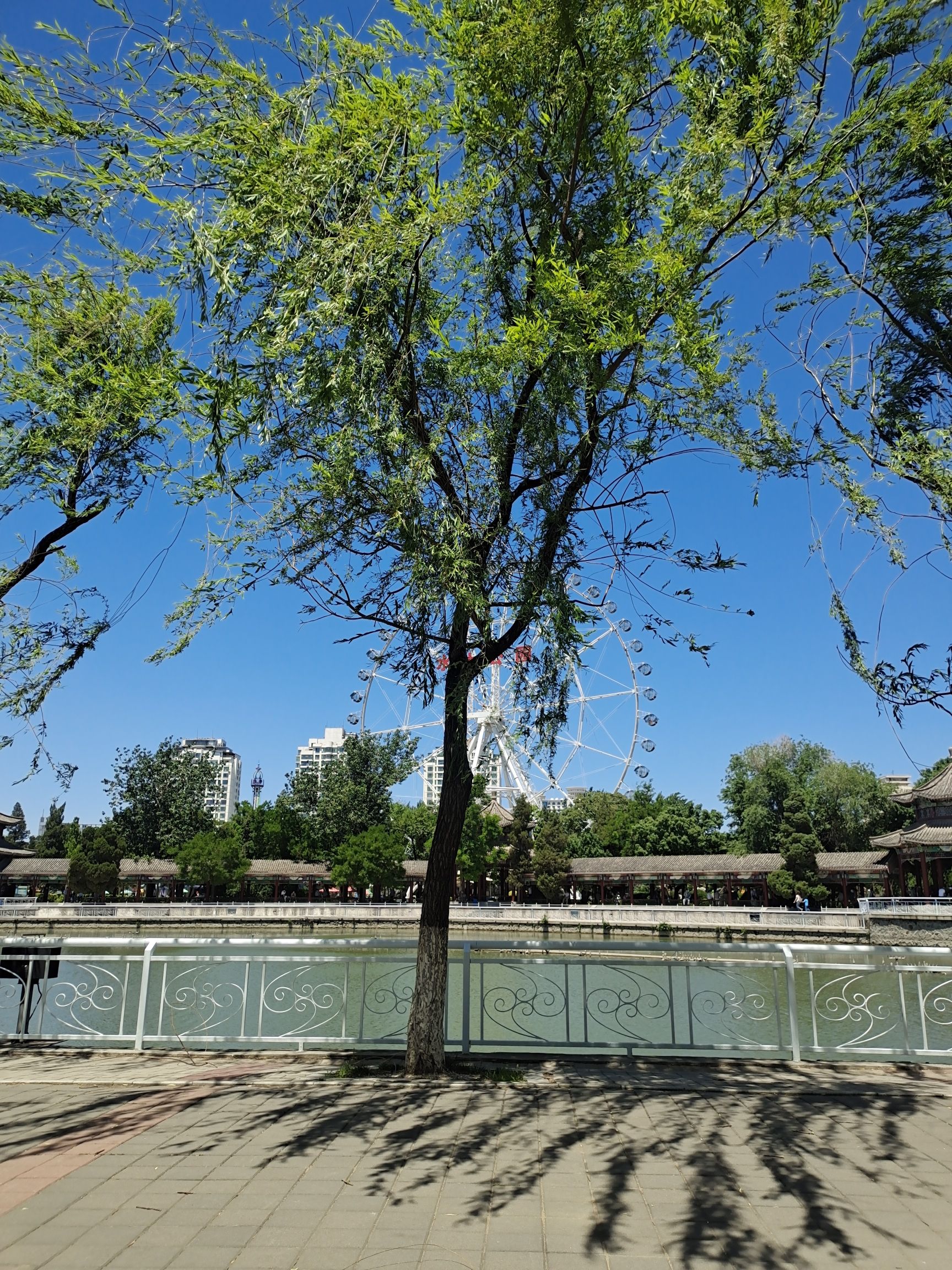 天津水上公园旅行图片 2
