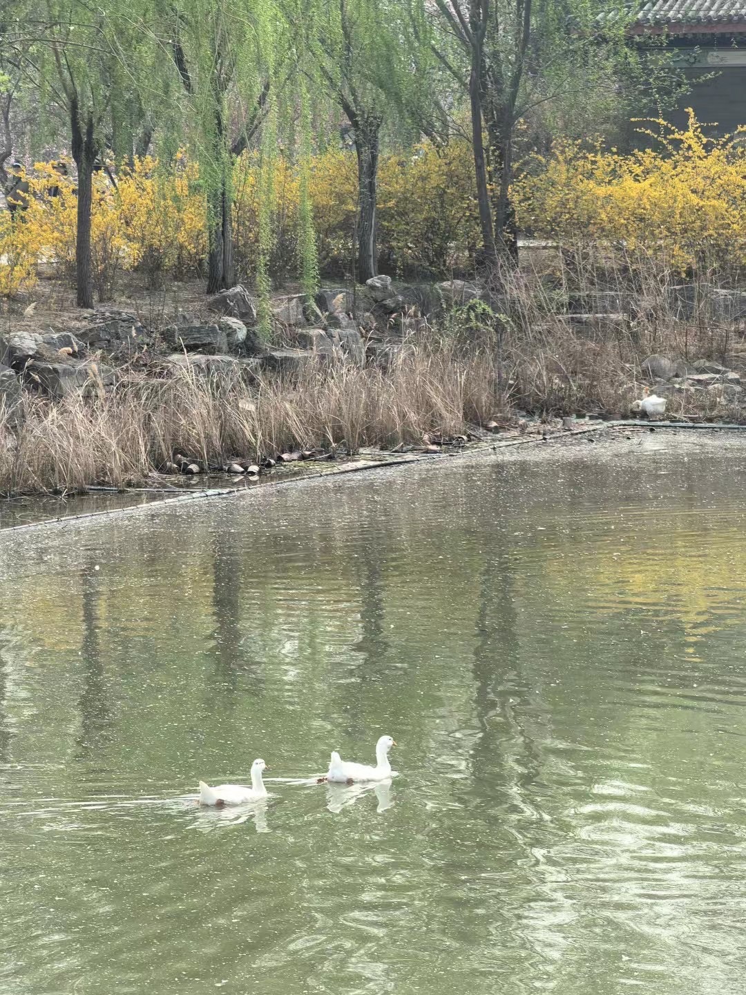 天津水上公园旅行图片 3