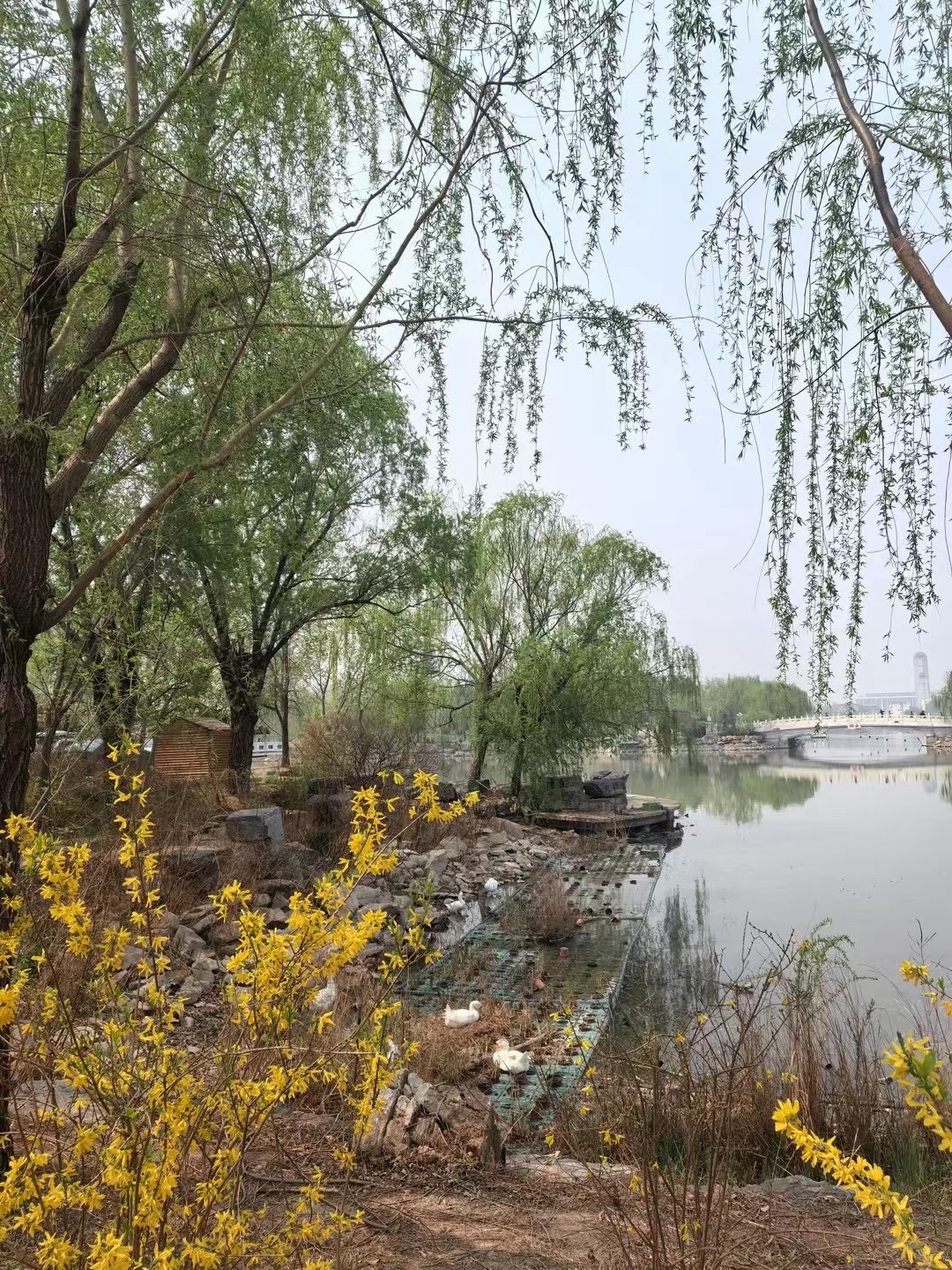 天津水上公园旅行图片 2