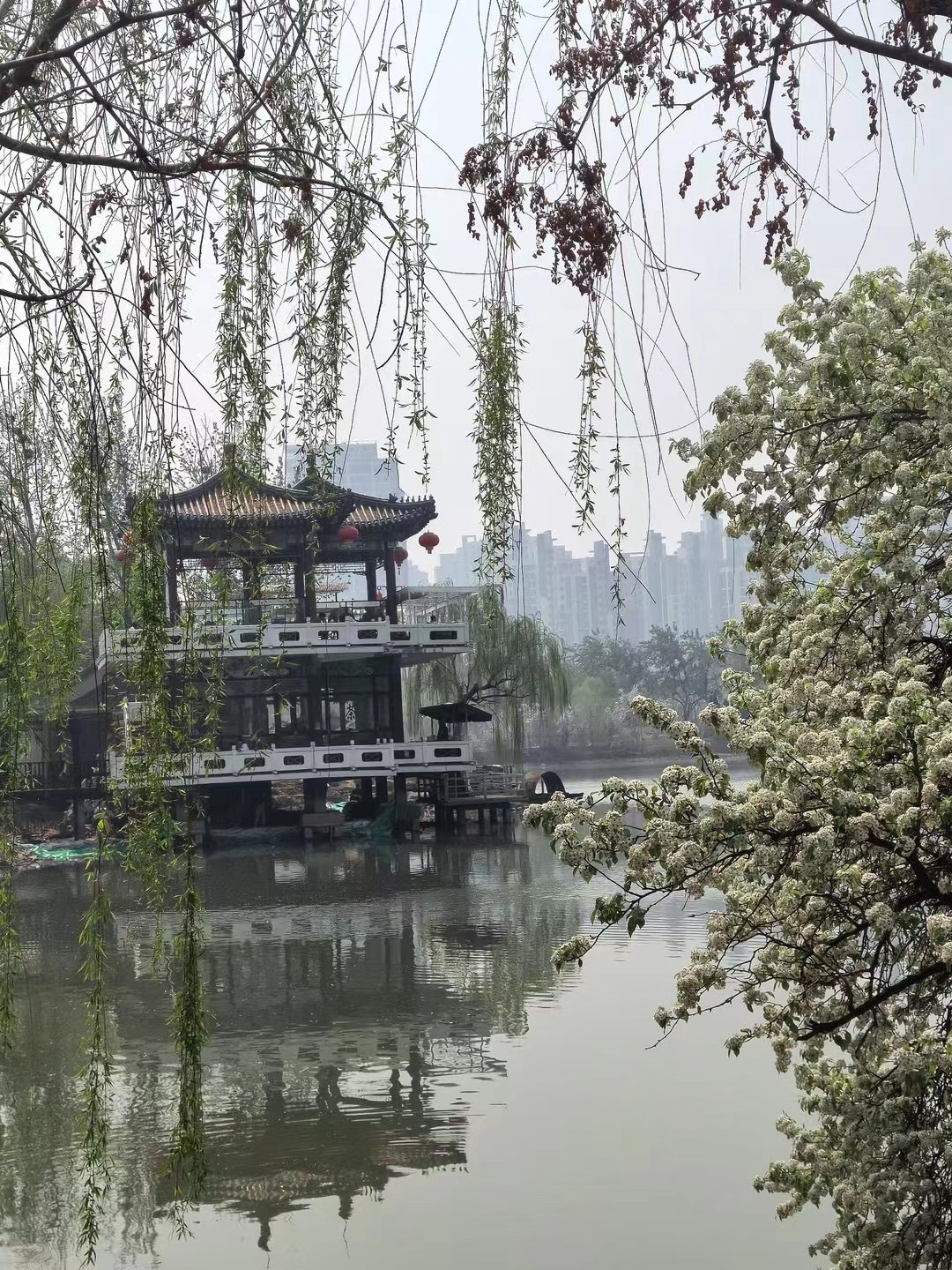天津水上公园旅行图片 1