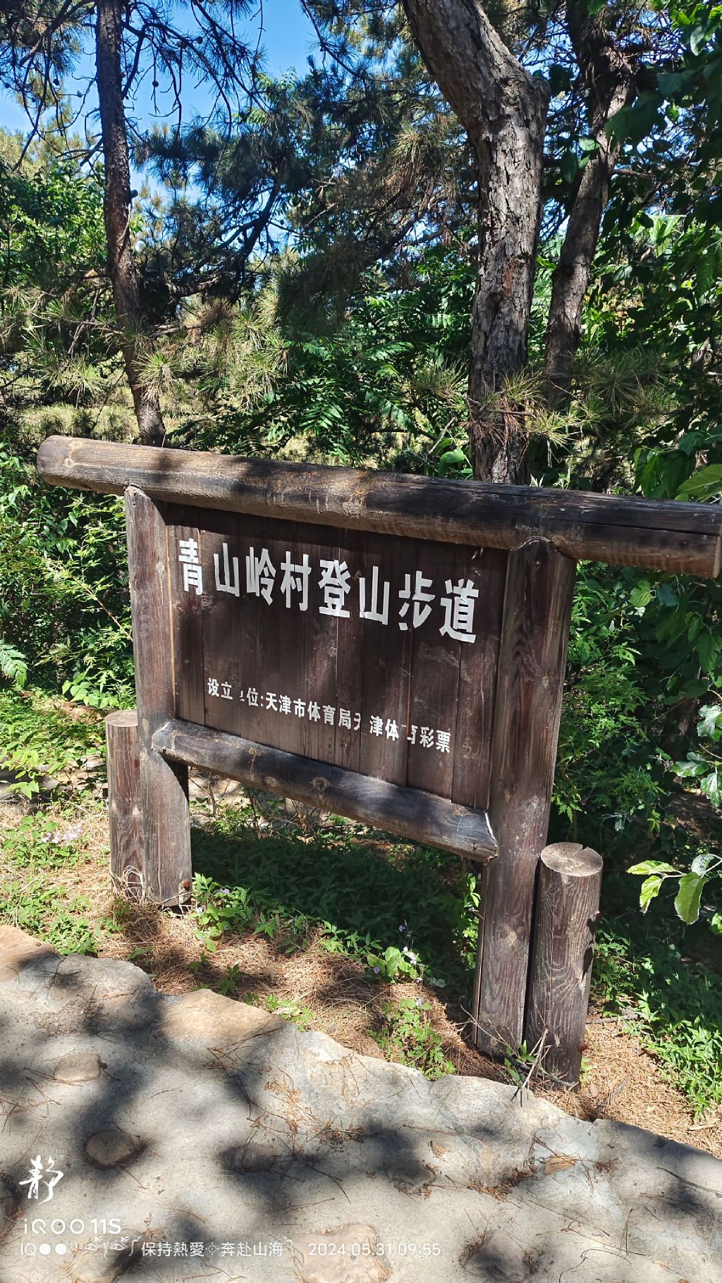 劲松园风景区旅行图片 1