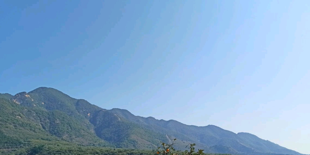 劲松园风景区旅行图片 1