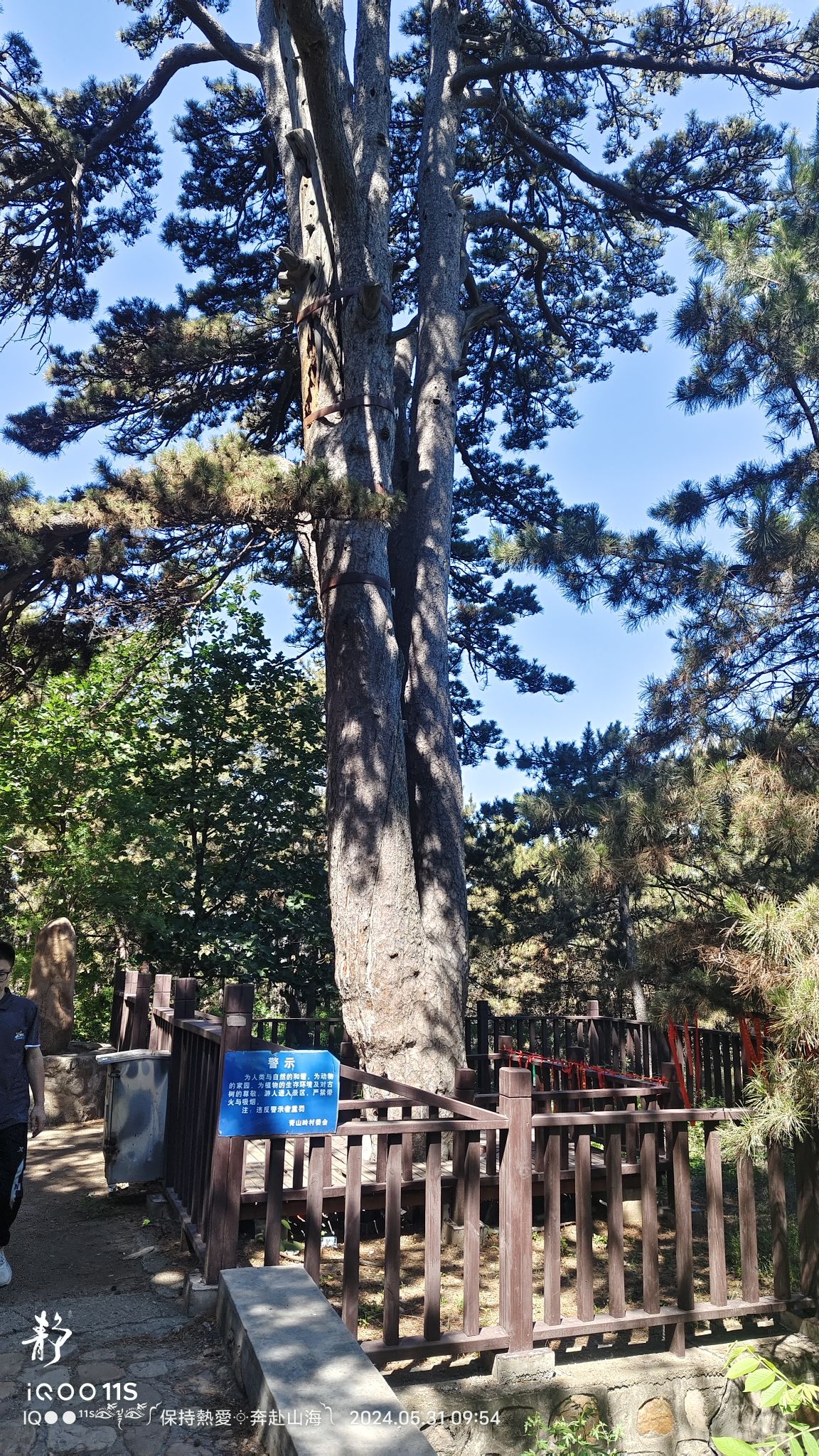 劲松园风景区旅行图片 2