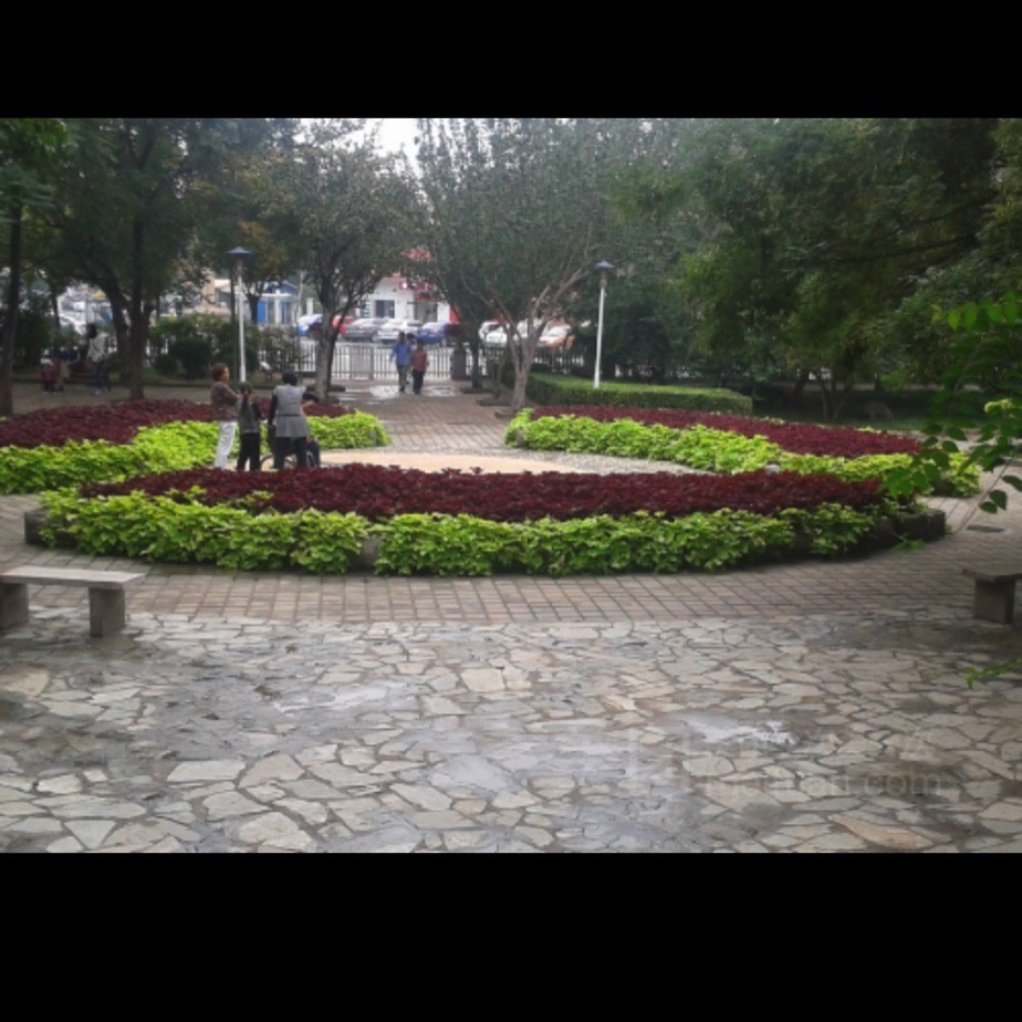 土山公园旅行图片 1