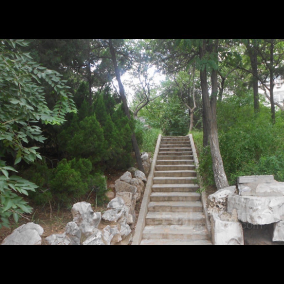 土山公园旅行图片 2