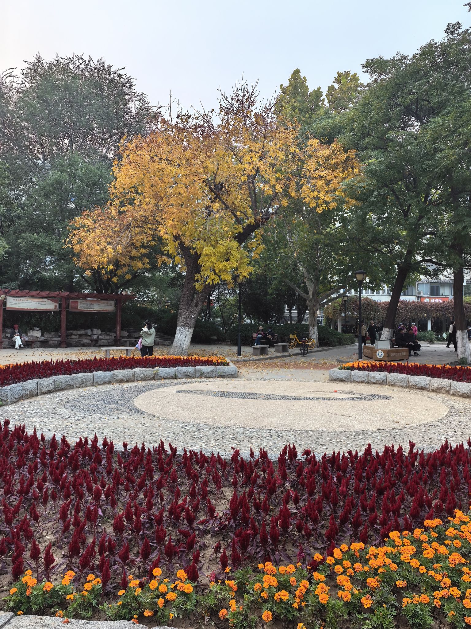 土山公园