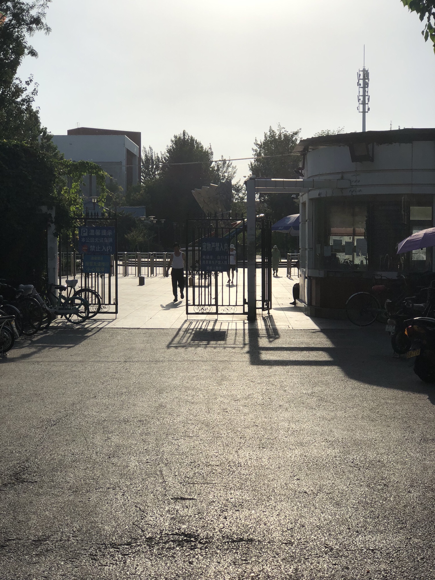 王串场体育公园旅行图片 1
