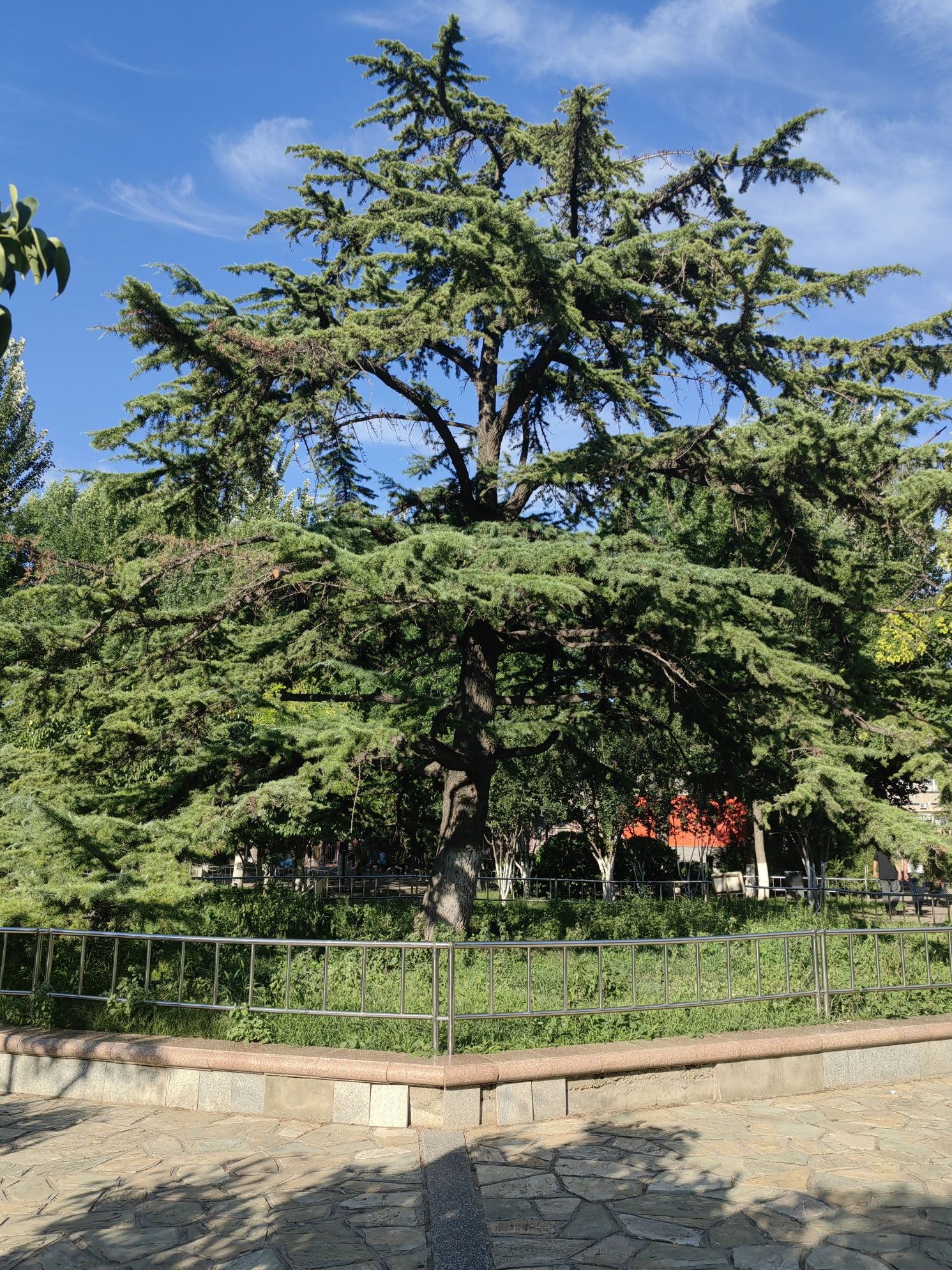 王串场体育公园旅行图片 2
