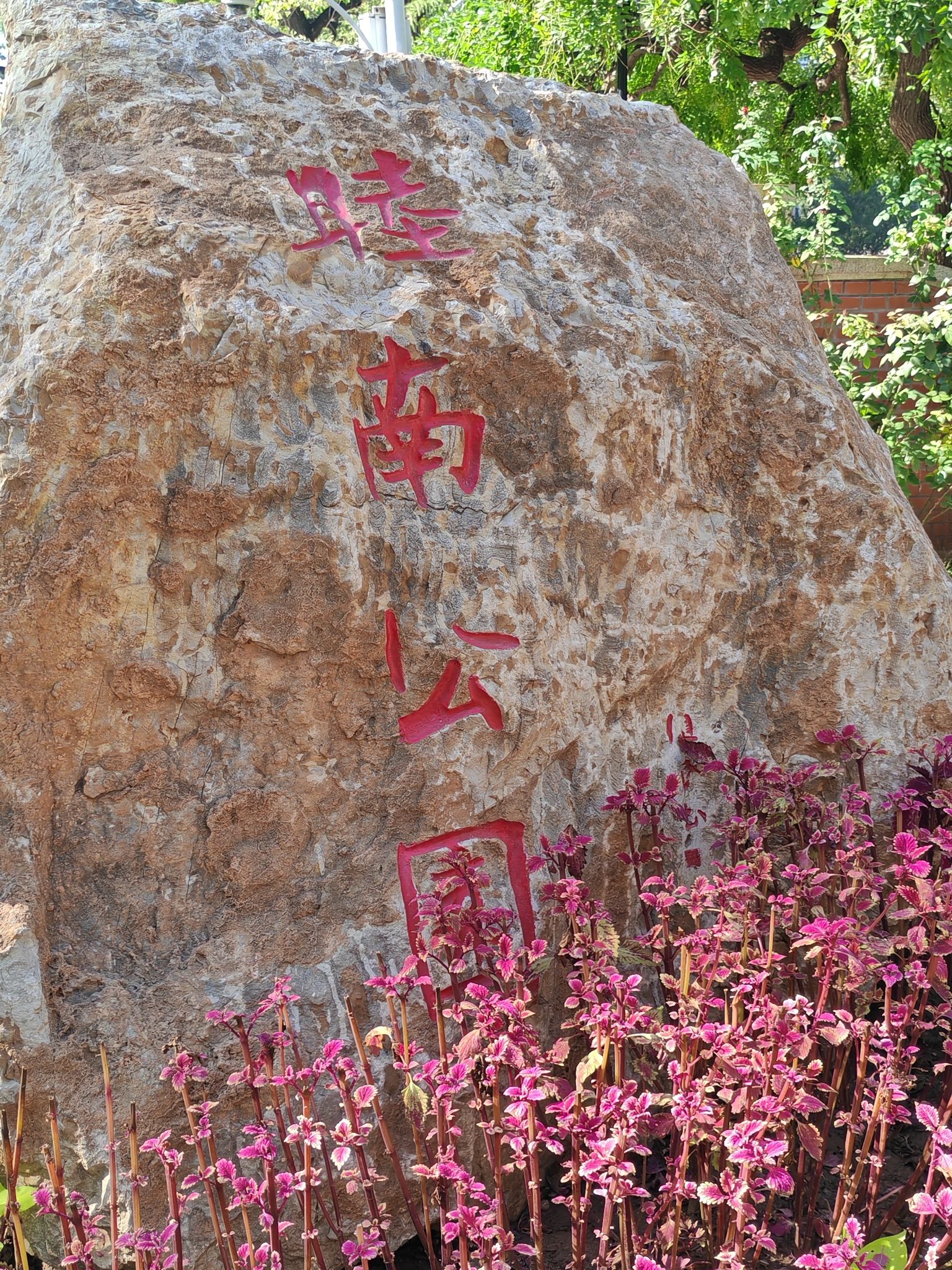 睦南公园景点图片