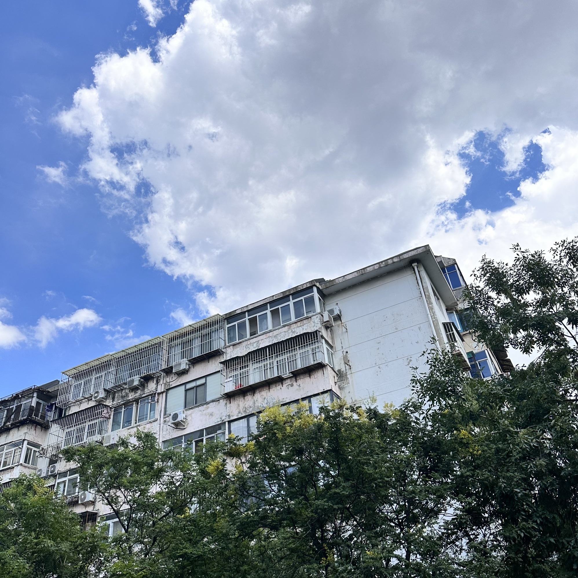 儿童公园旅行图片 1
