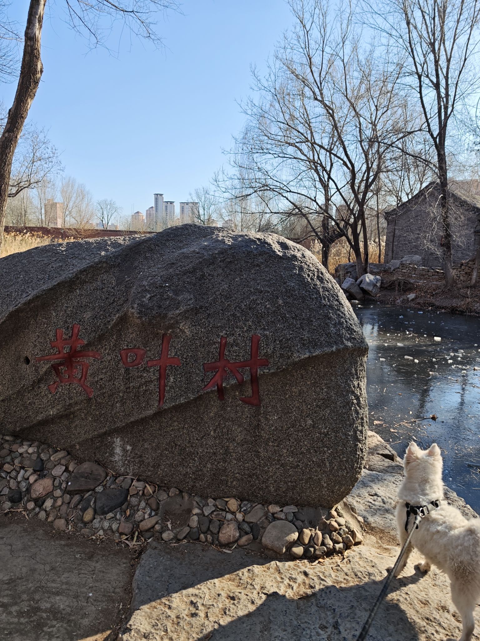 西沽公园旅行图片 2