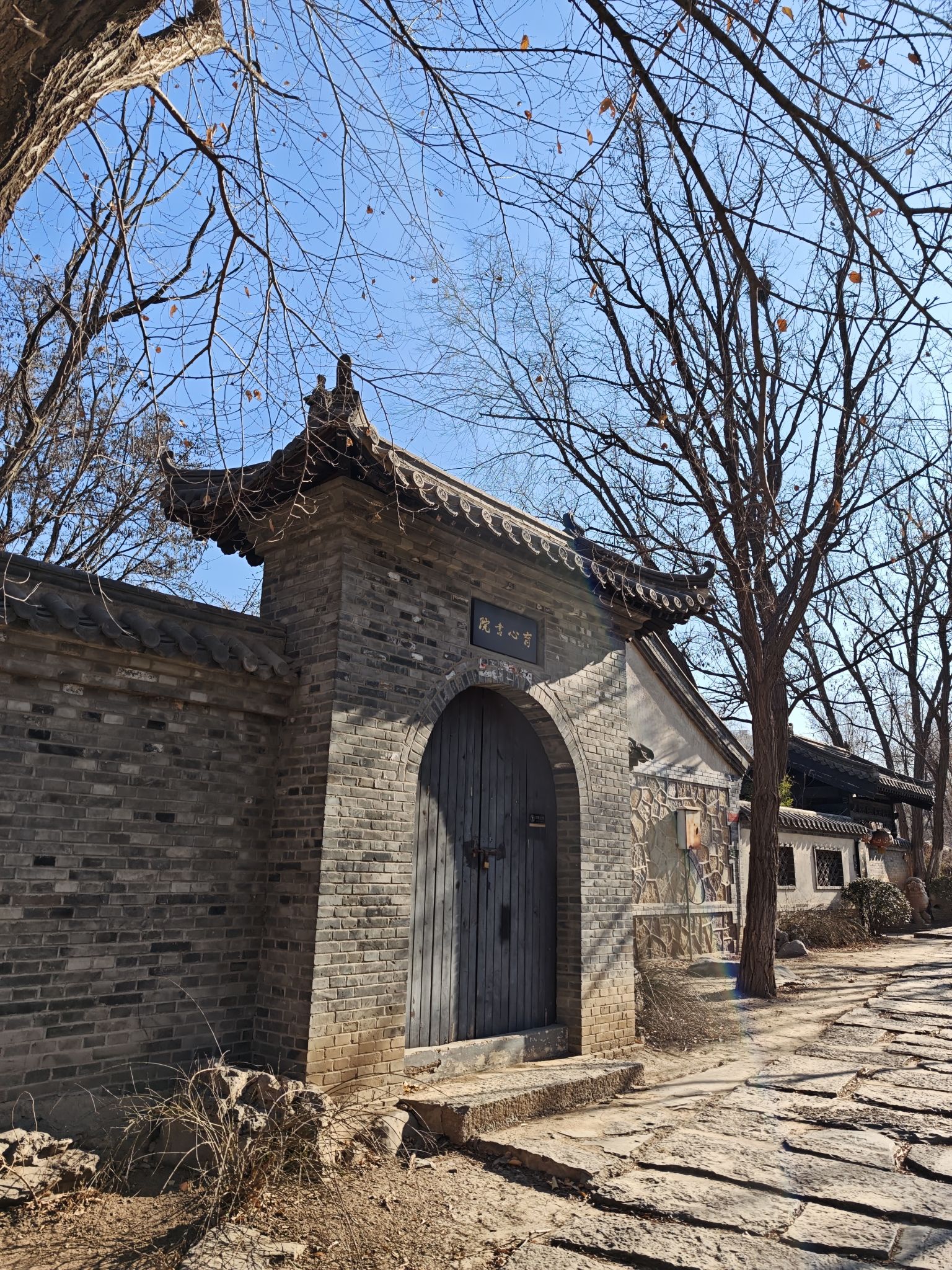 西沽公园旅行图片 1