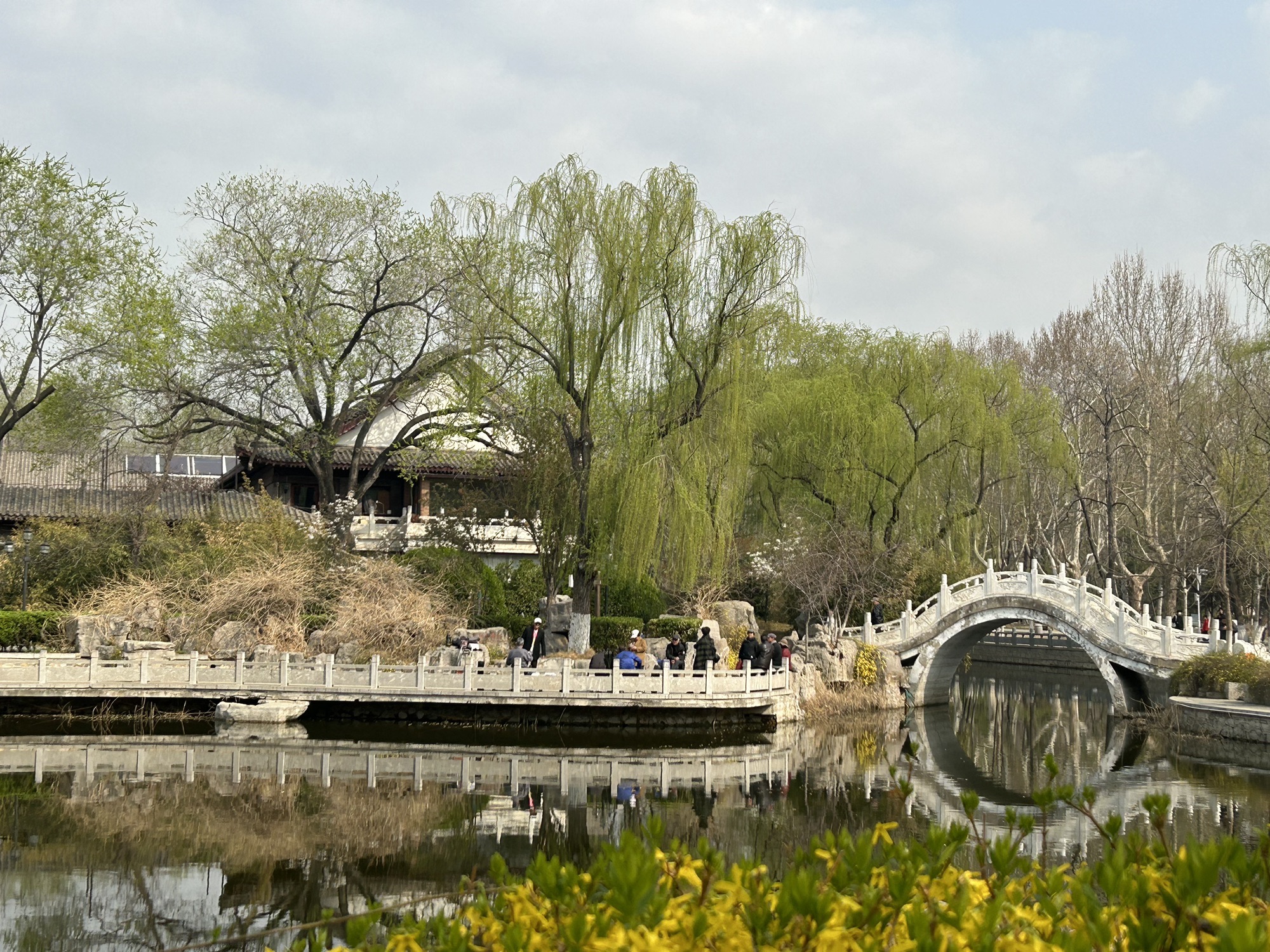 西沽公园旅行图片 1