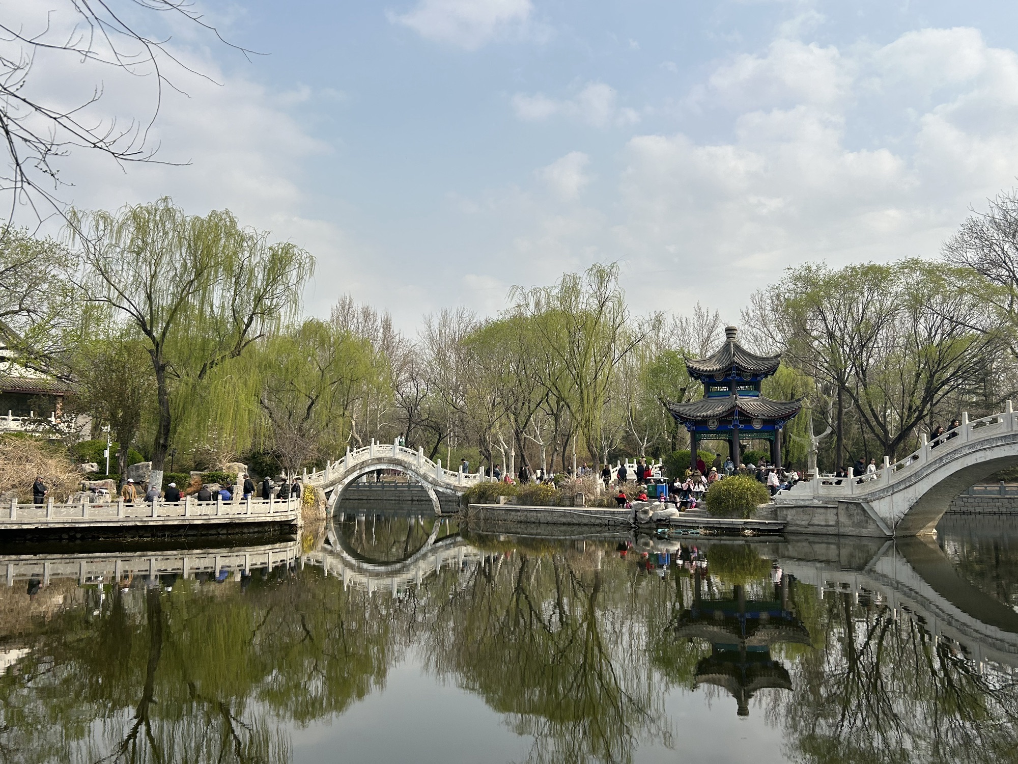 西沽公园旅行图片 3