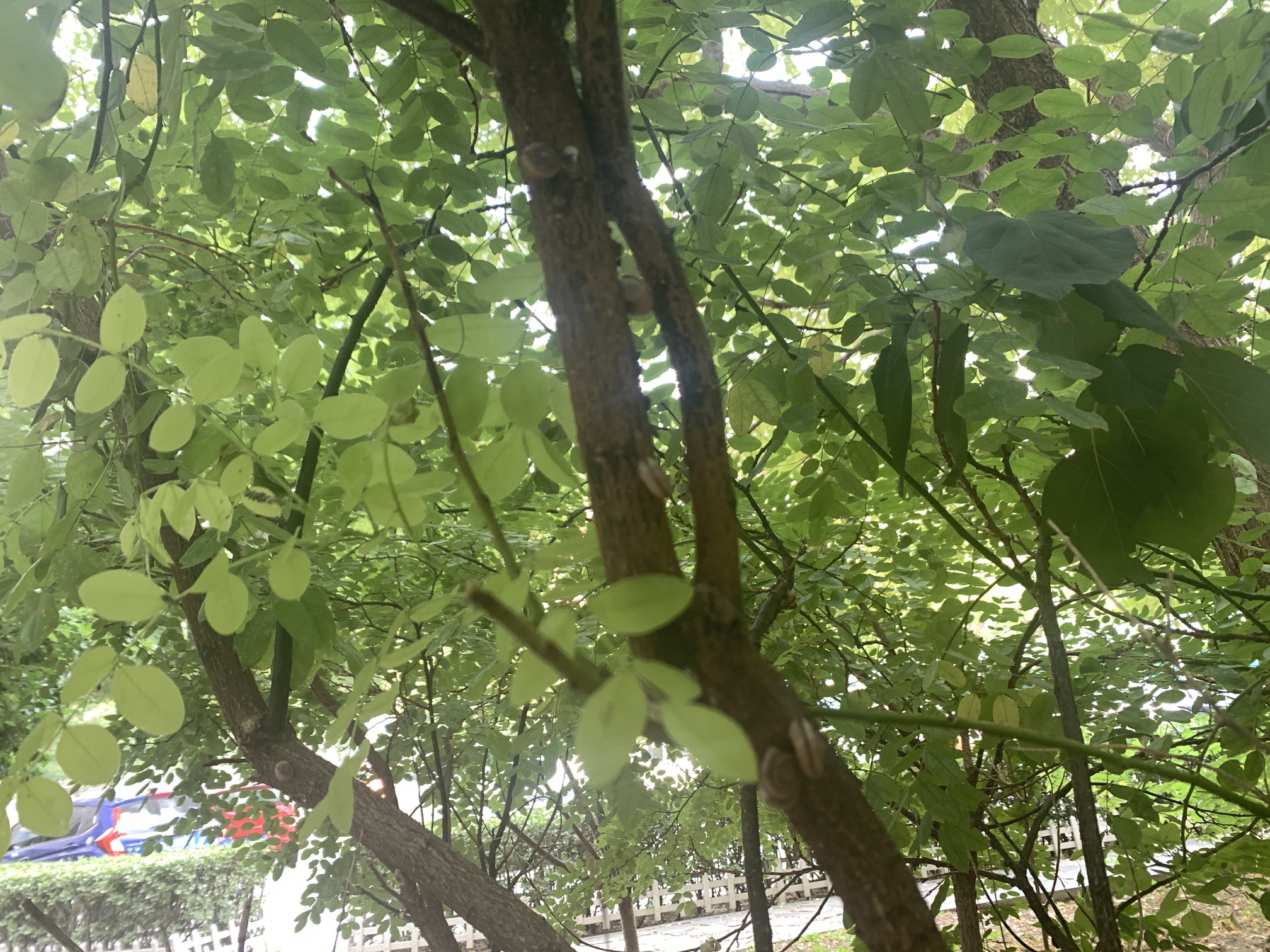 翔宇公园旅行图片 3