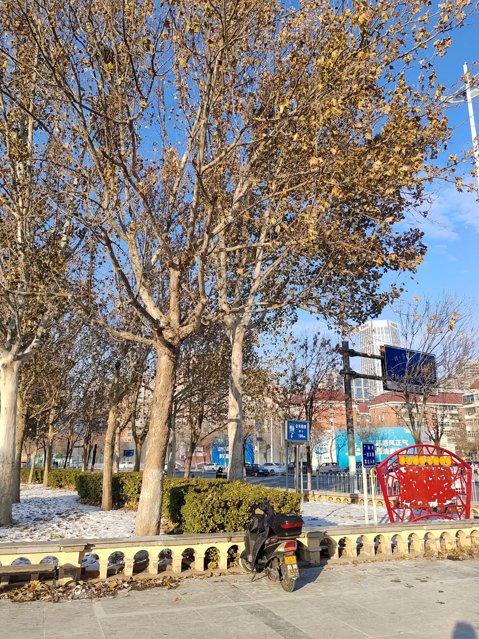 翔宇公园旅行图片 2