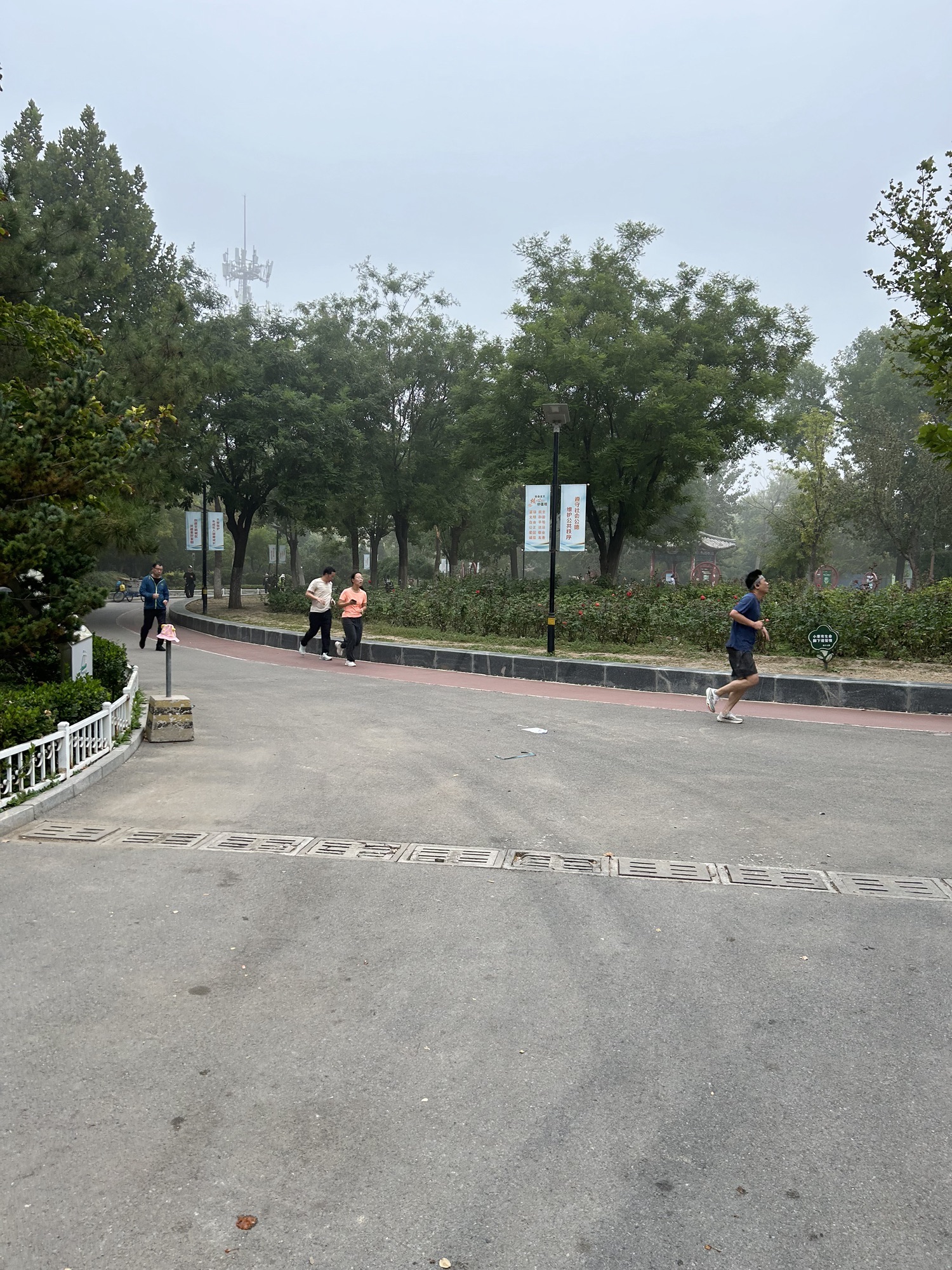 南开公园旅行图片 2