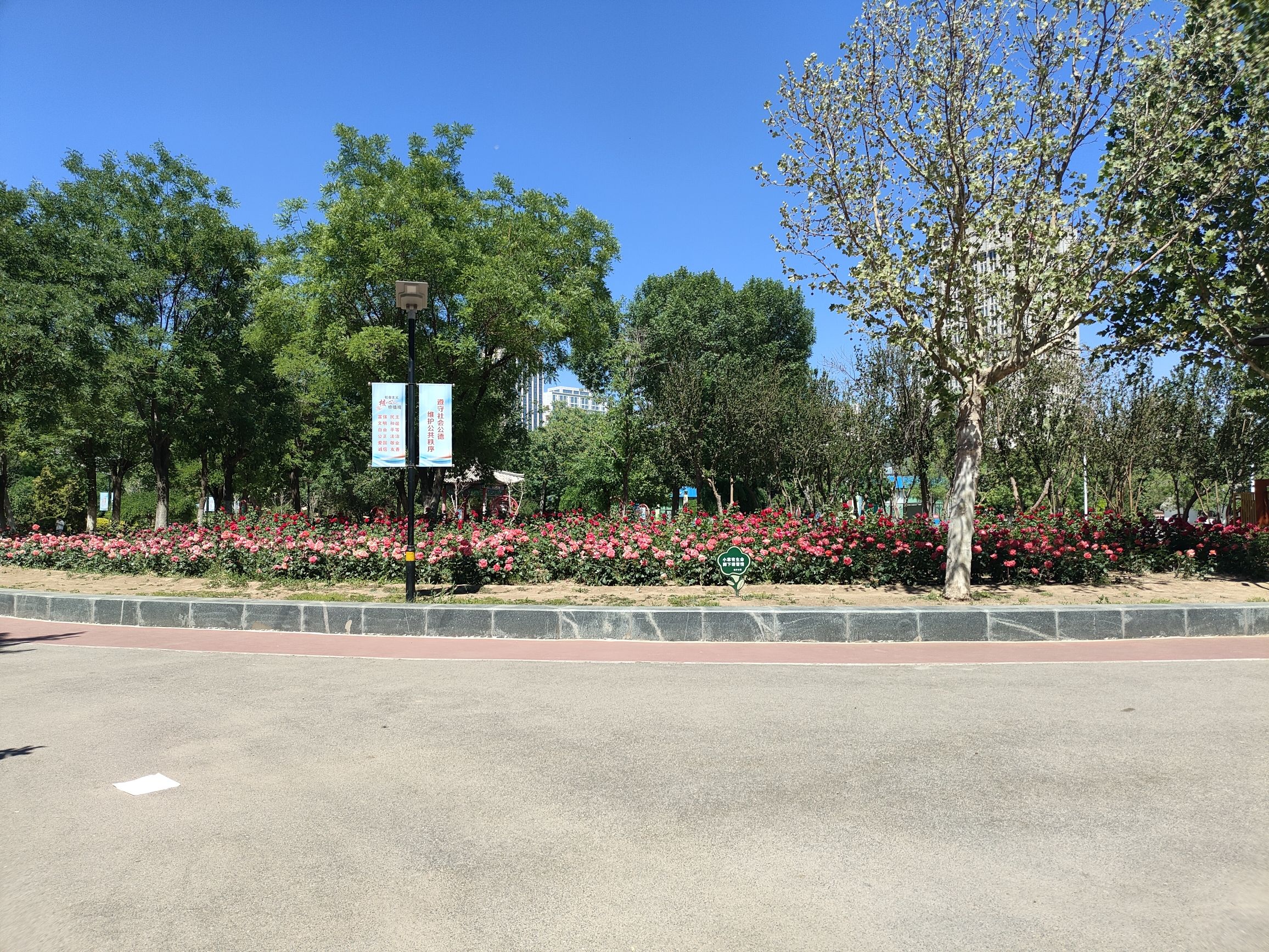 南开公园旅行图片 2