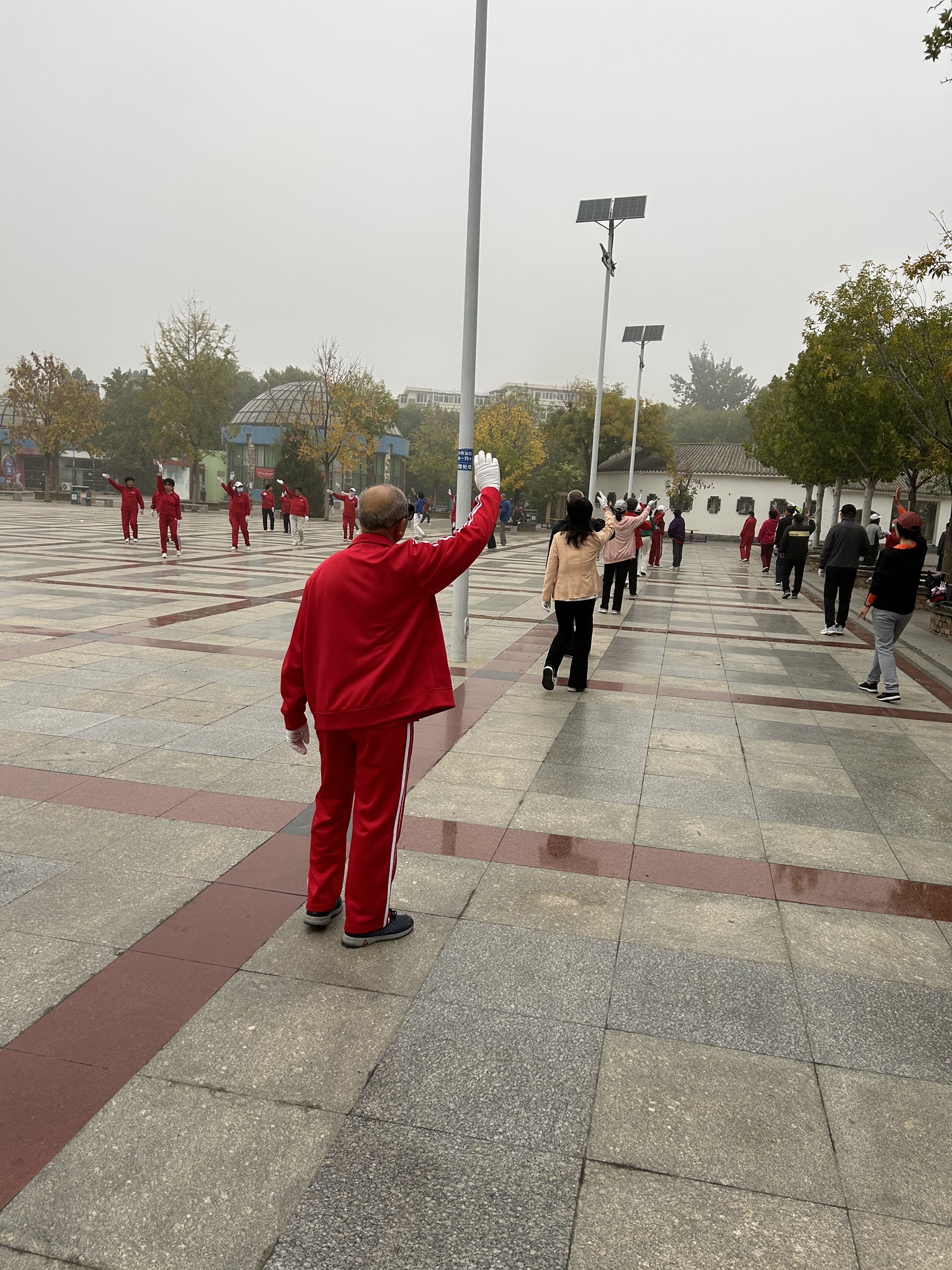 南开公园旅行图片 3
